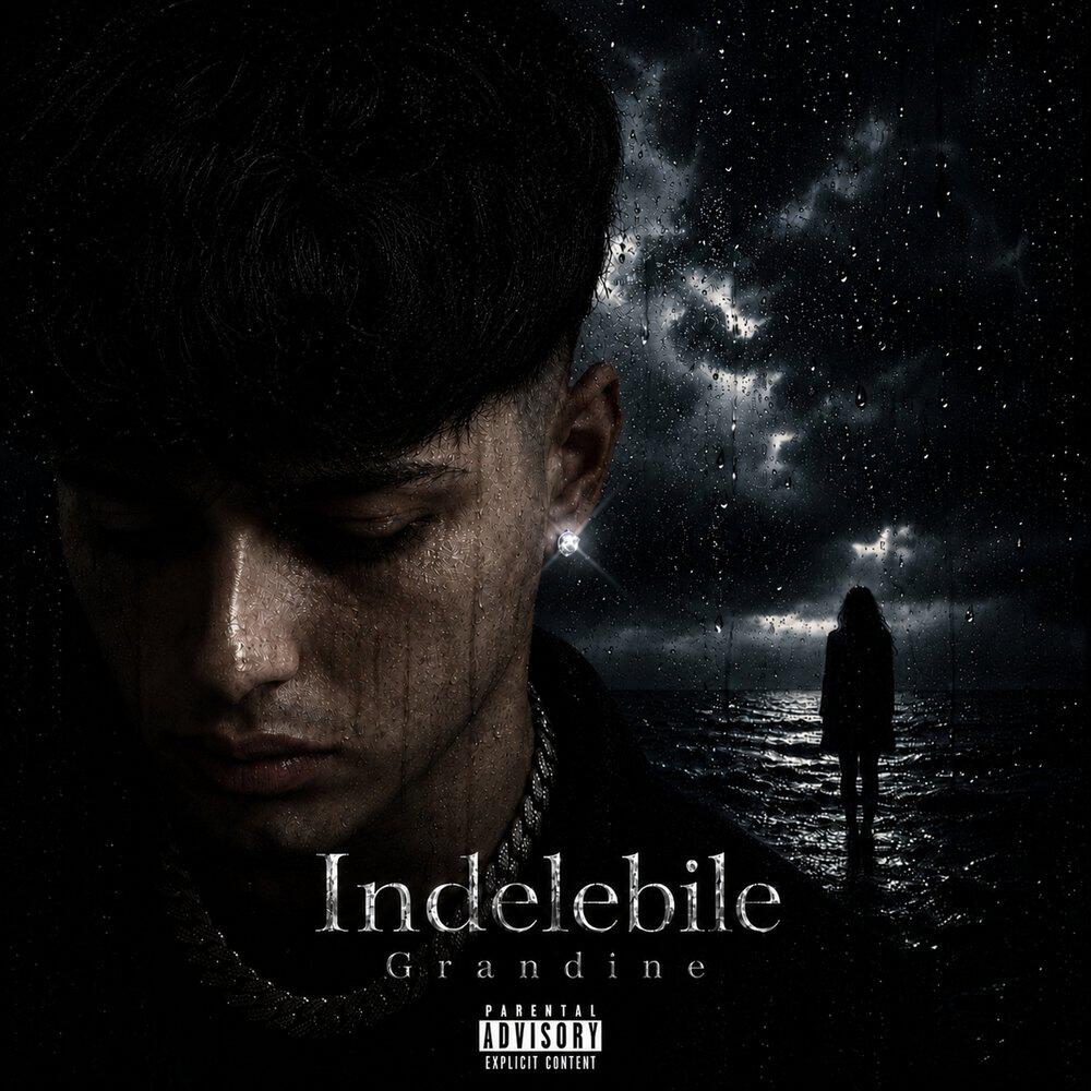 Релиз Indelebile