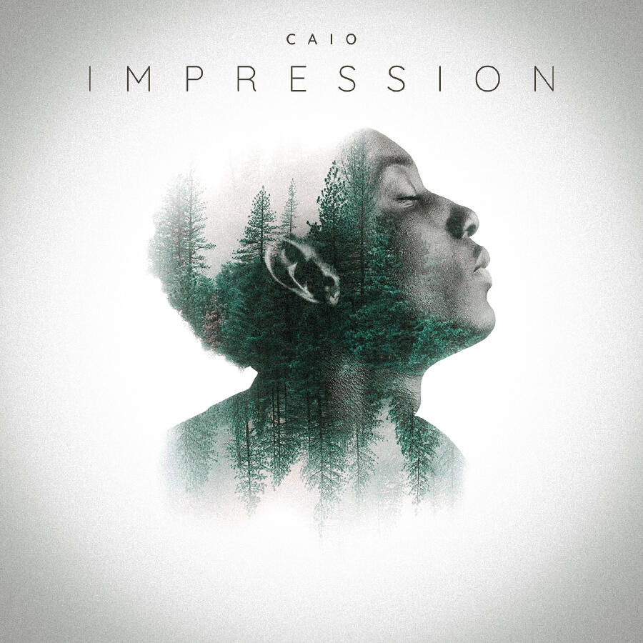 Релиз Impression