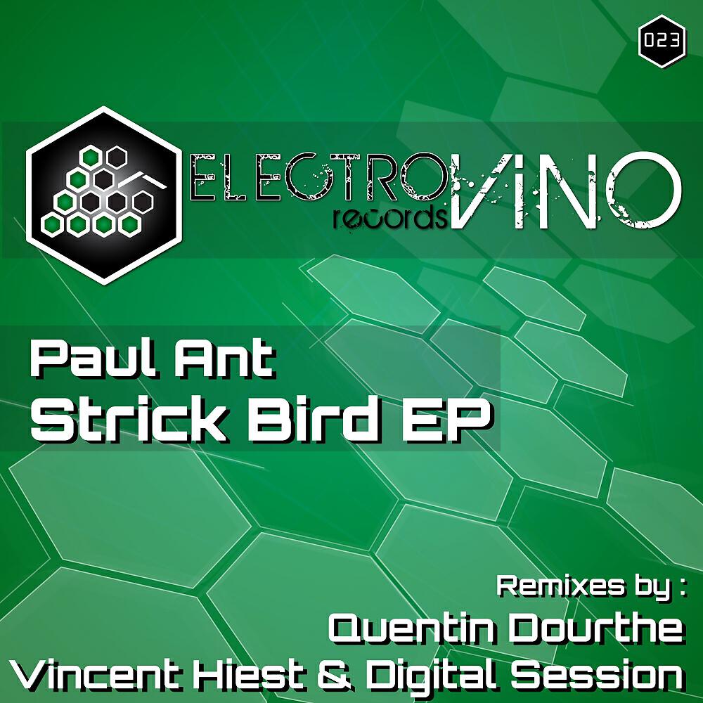 Релиз Strick Bird