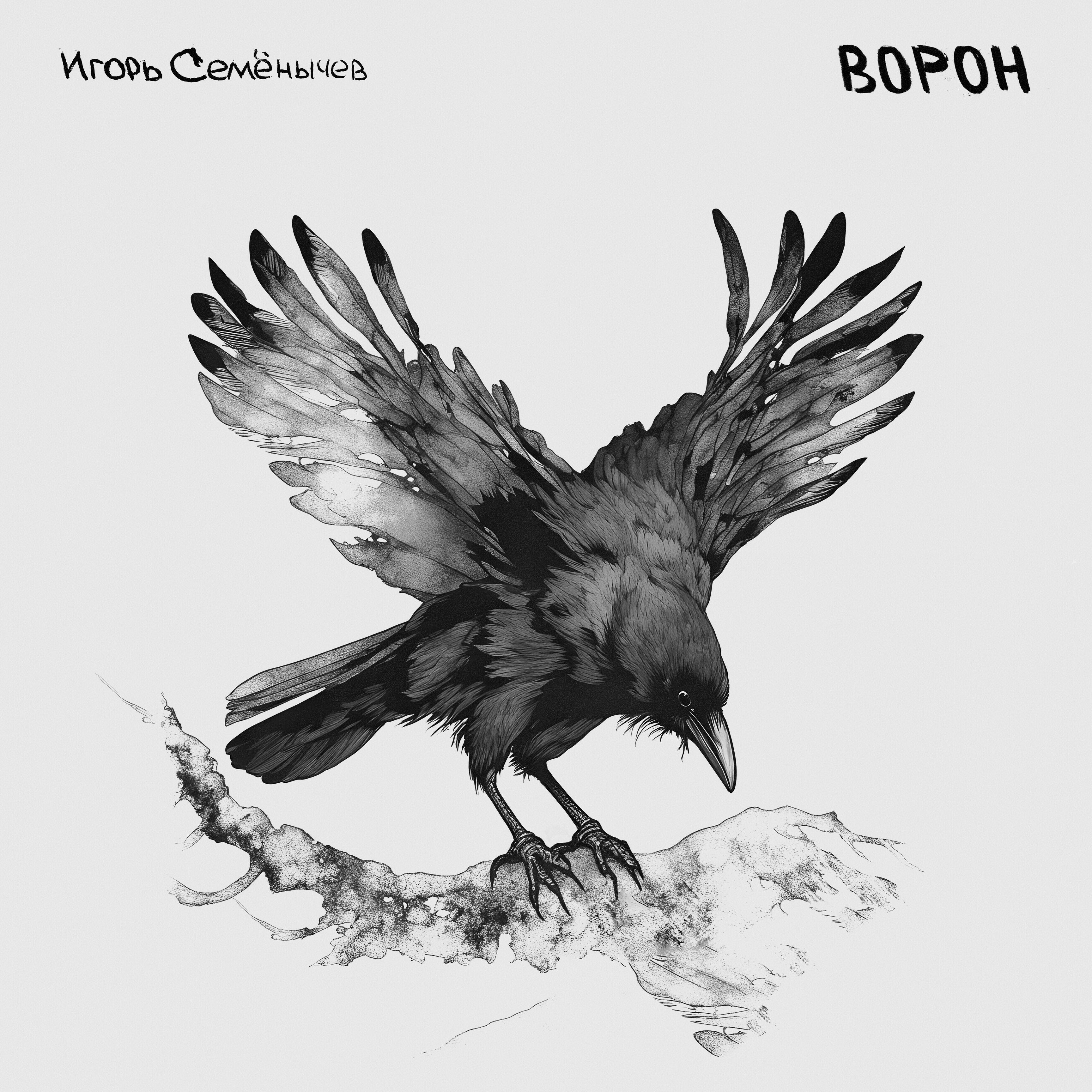Игорь Семёнычев