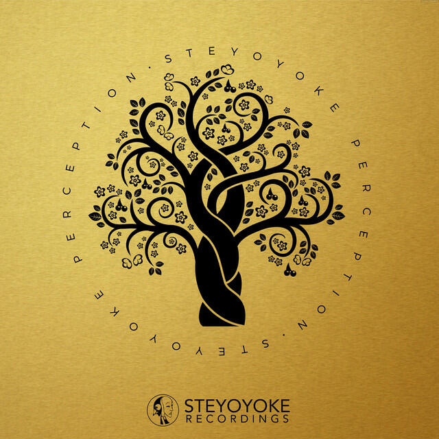 Релиз Steyoyoke Perception, Vol. 1