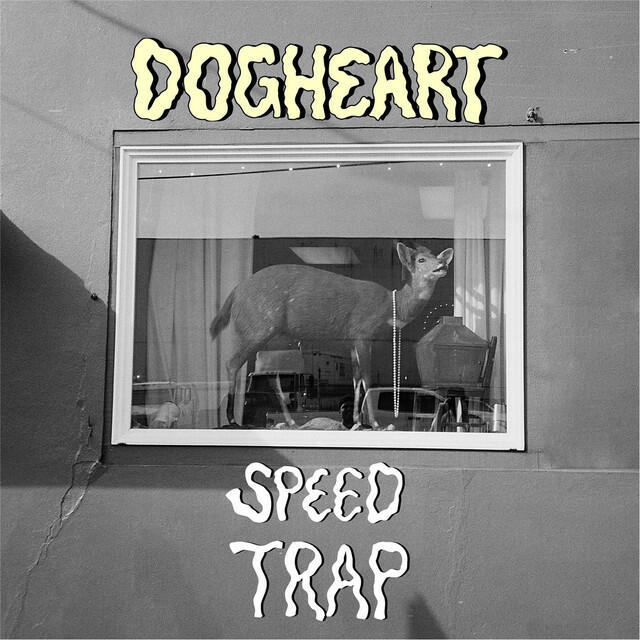 Релиз Speed Trap