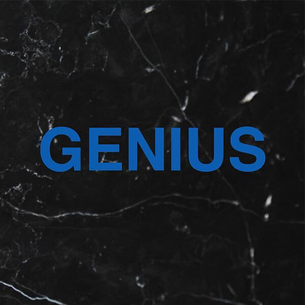 Скачать песню G E N I U S - You Know You Like It (Genius Vision) бесплатно в MP3 для Android и iOS