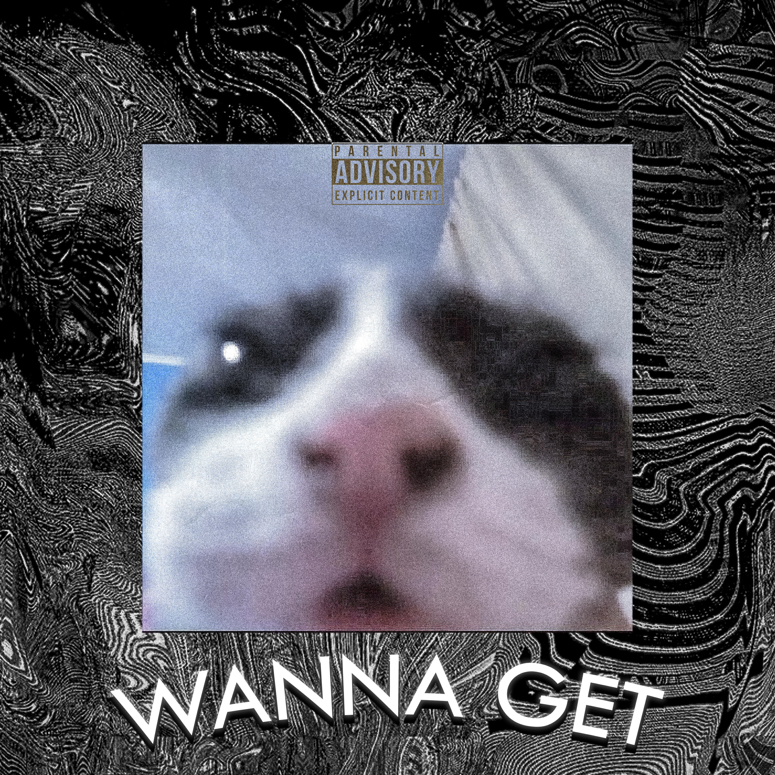 Релиз Wanna Get