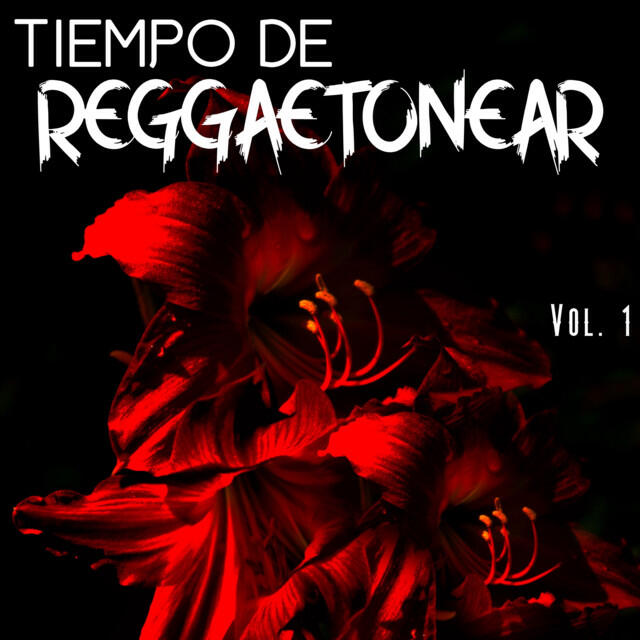 Релиз Tiempo De Reggaetonear Vol. 1