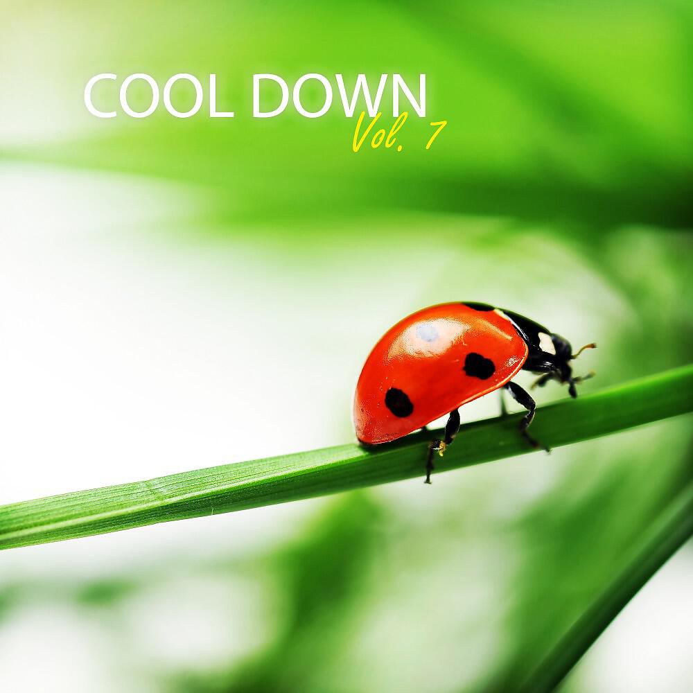 Релиз Cool Down, Vol. 7