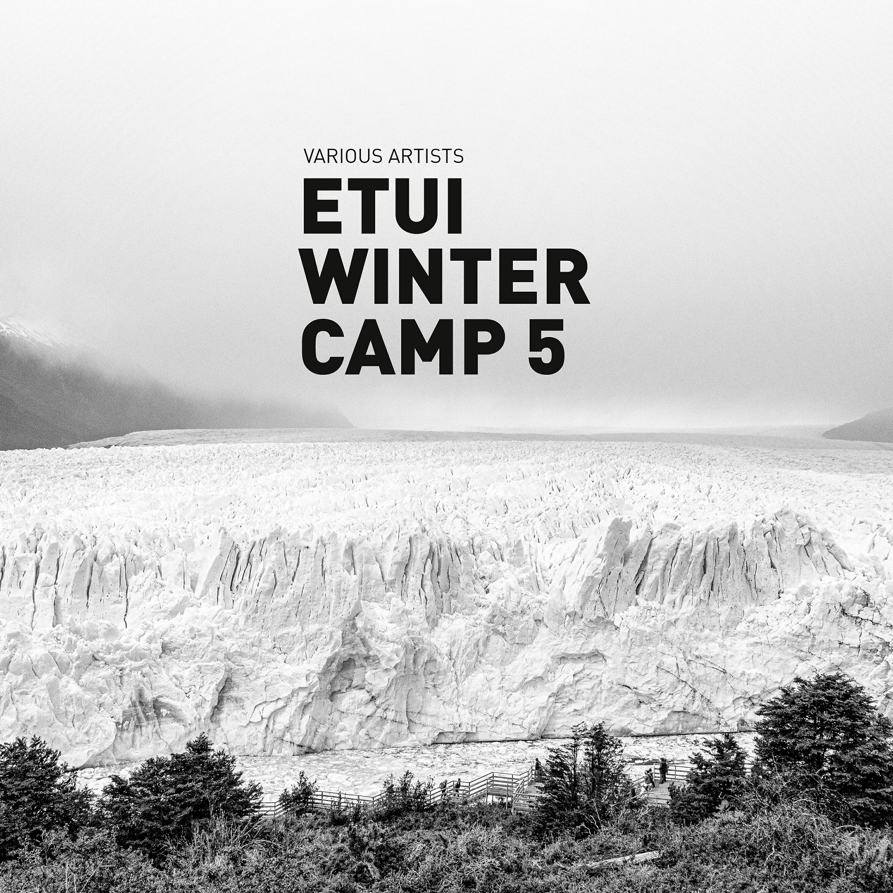 Релиз Etui Winter Camp, Vol. 5