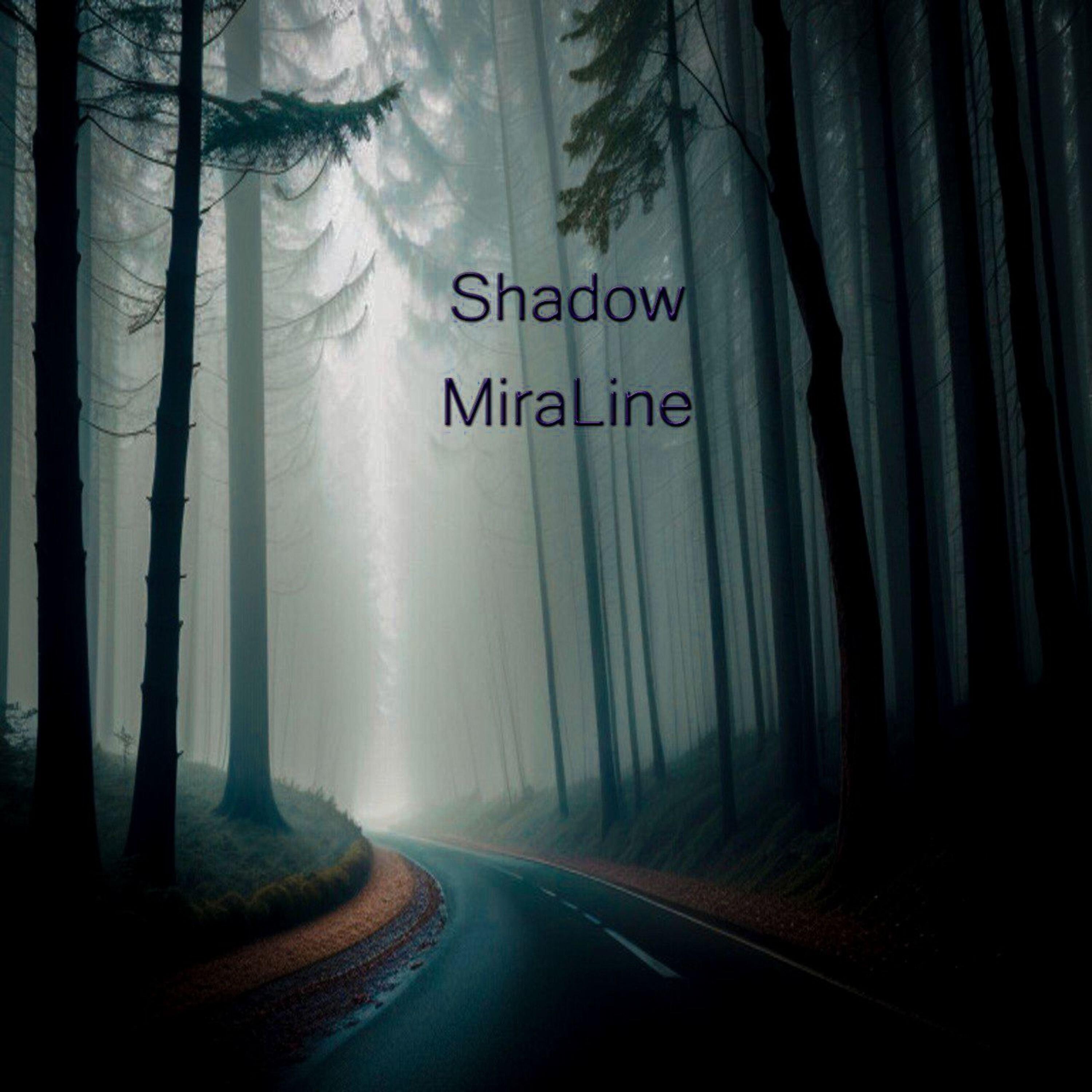 Релиз Shadow