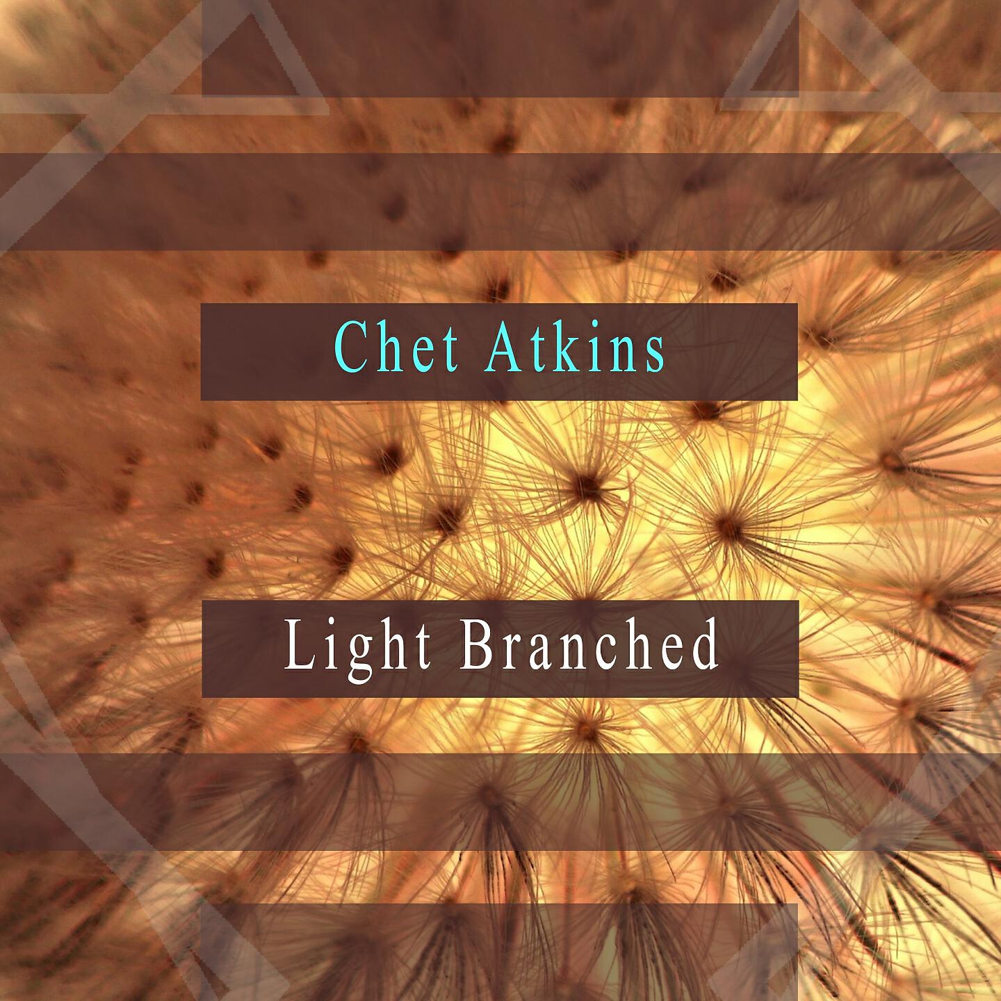 Релиз Light Branched