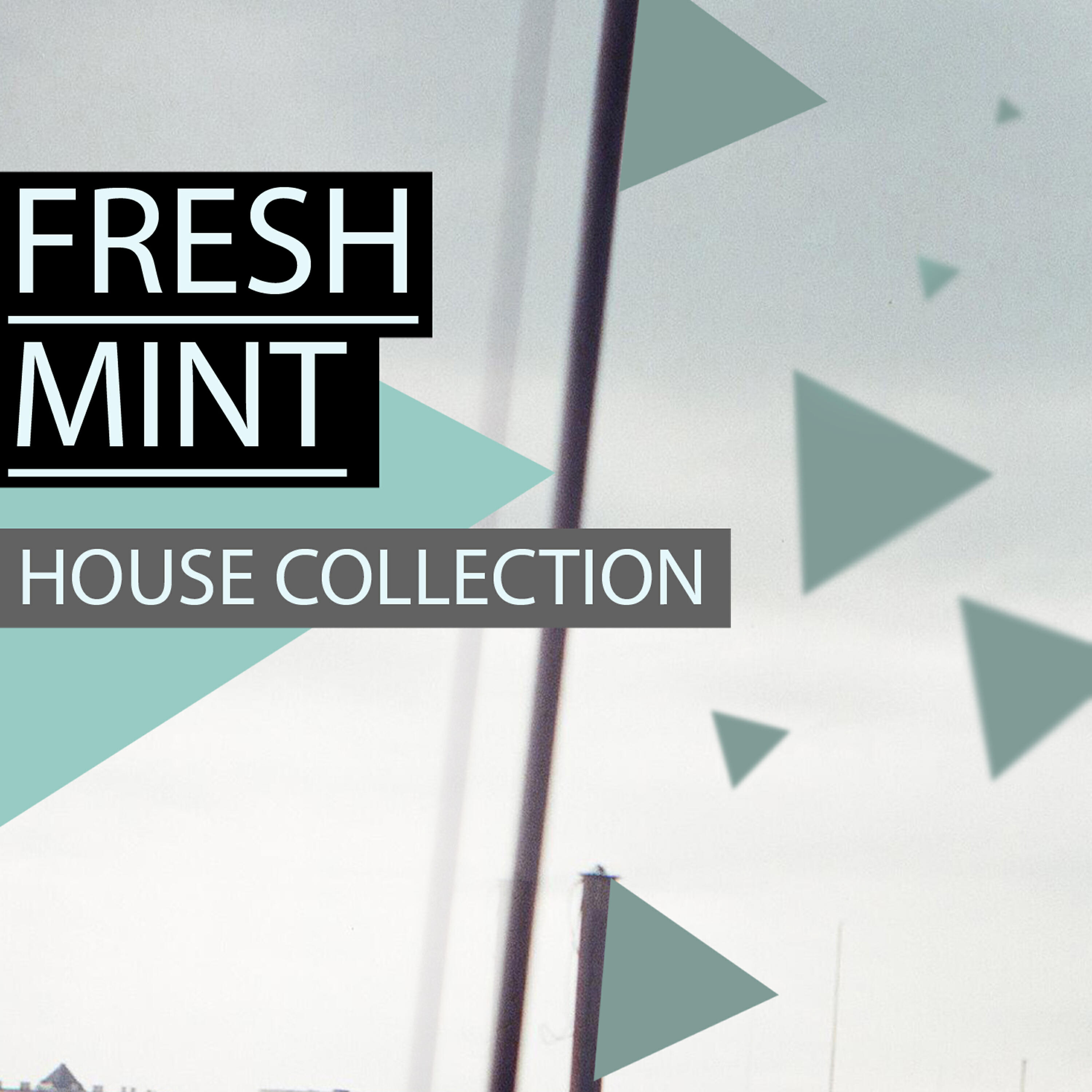 Релиз Fresh Mint
