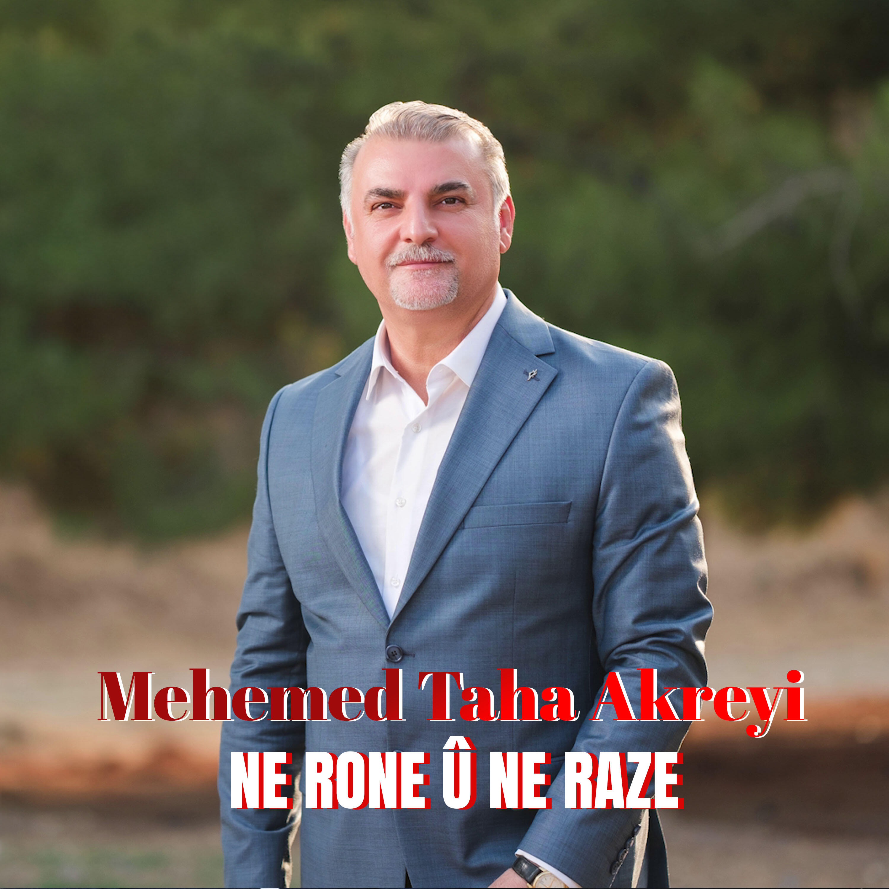 Mehemed Taha Akreyi