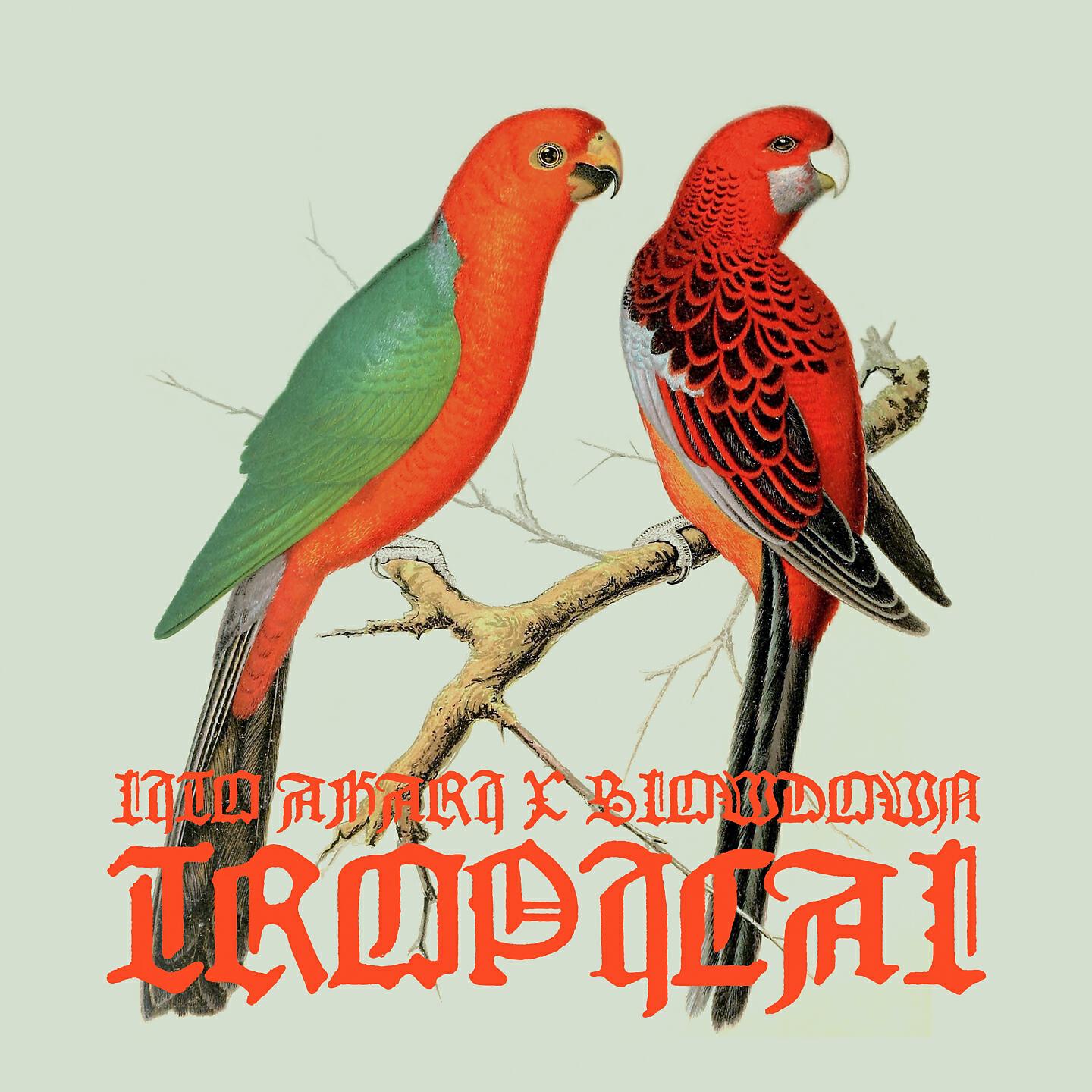 Релиз Tropical
