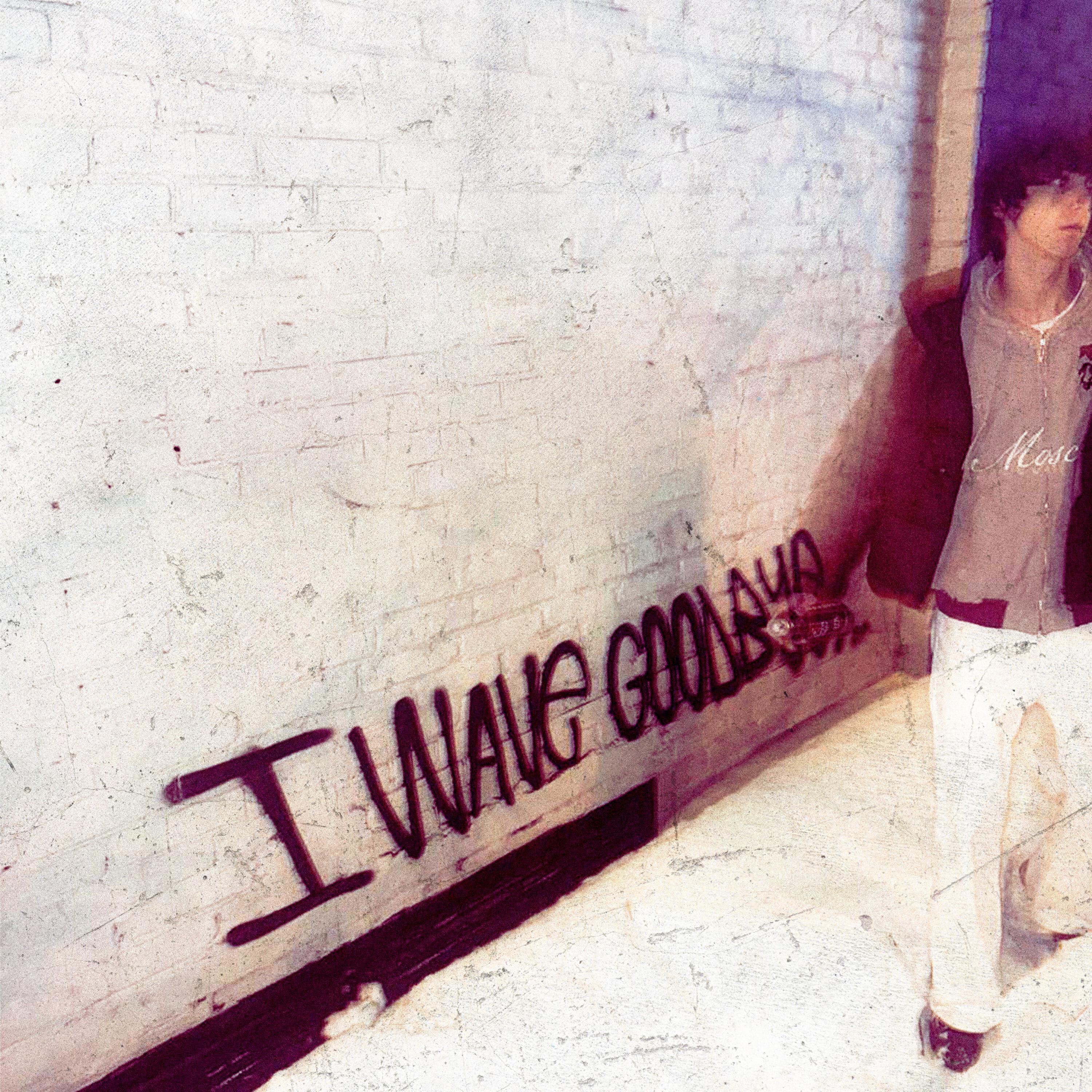 Релиз I WAVE GOODBYE