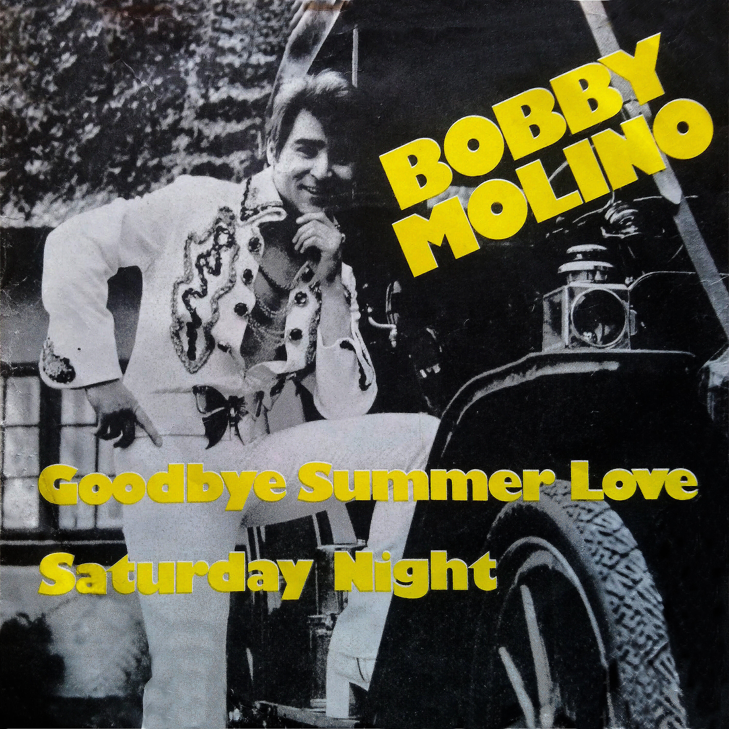 Релиз Goodbye Summer Love