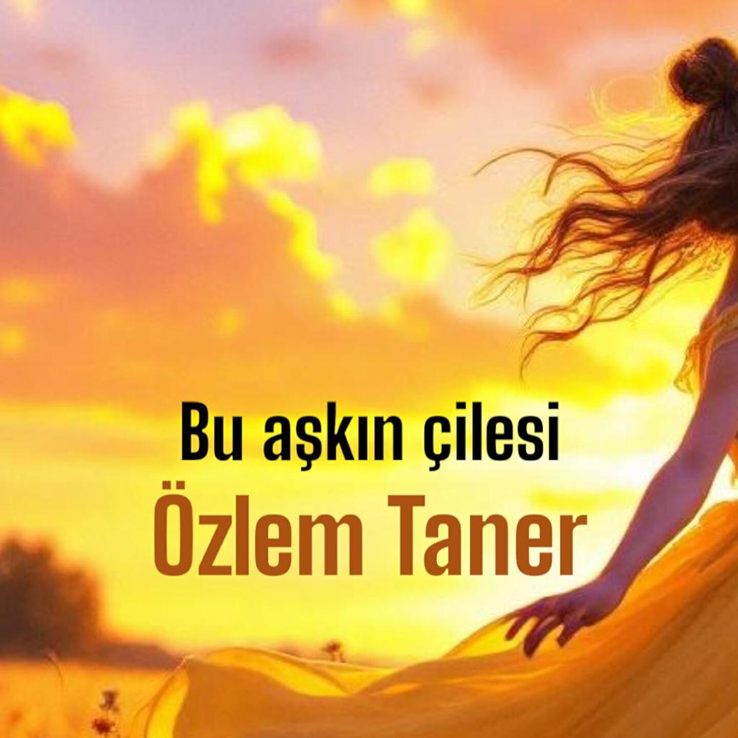 Релиз Bu Aşkın Çilesini