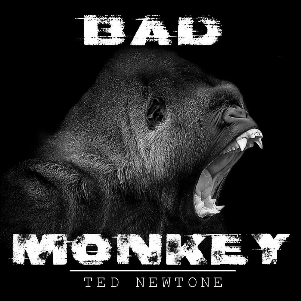 Релиз Bad Monkey