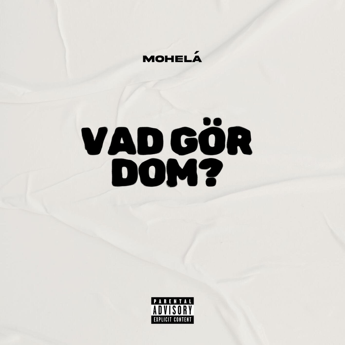 Релиз VAD GÖR DOM?