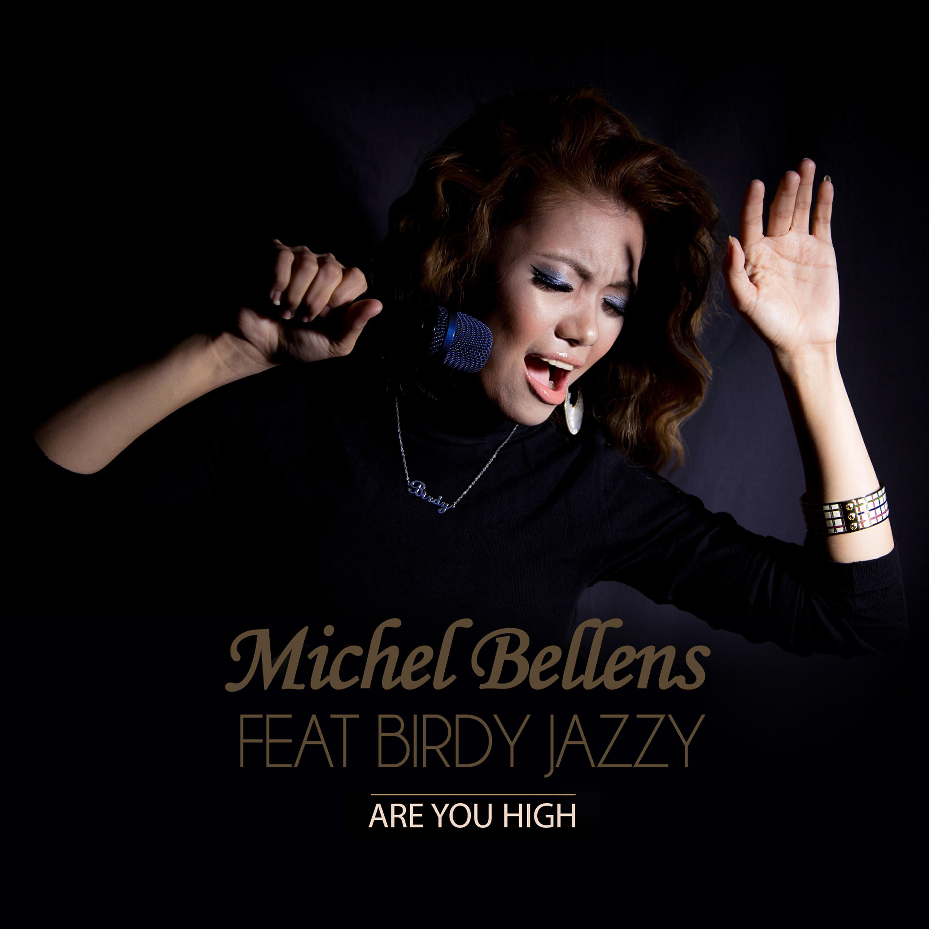 Релиз Are You High