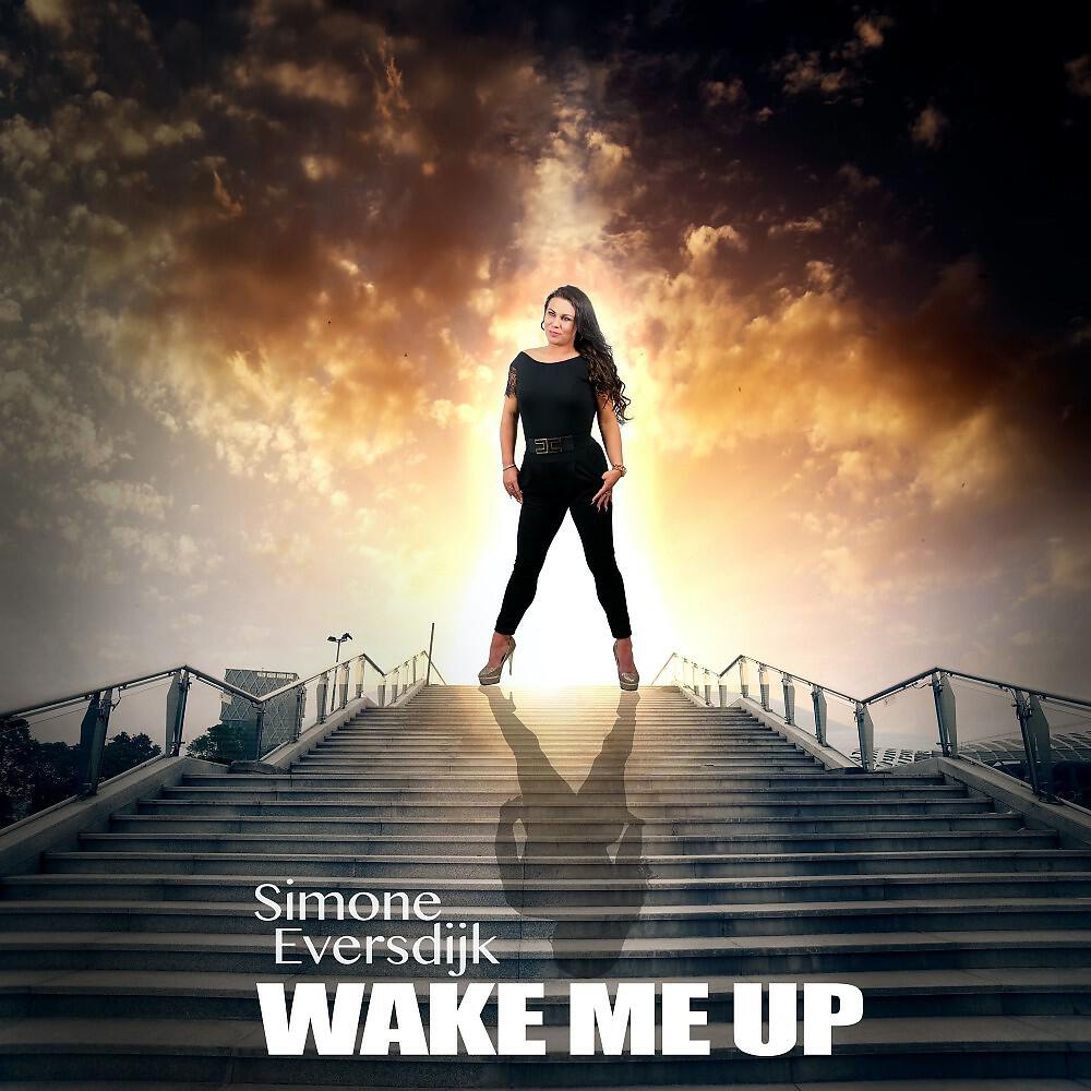 Релиз Wake Me Up