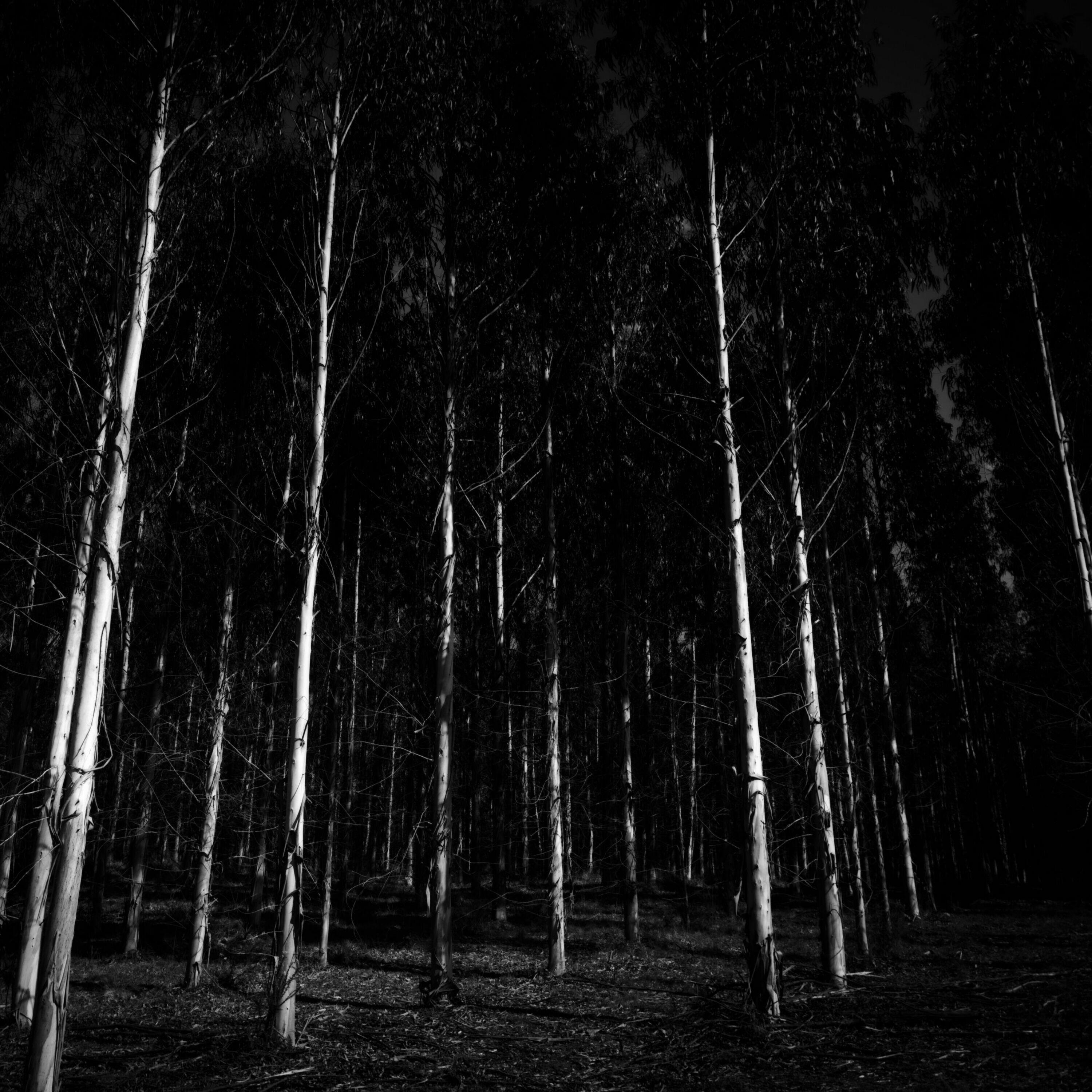 Релиз Loneliness in Me