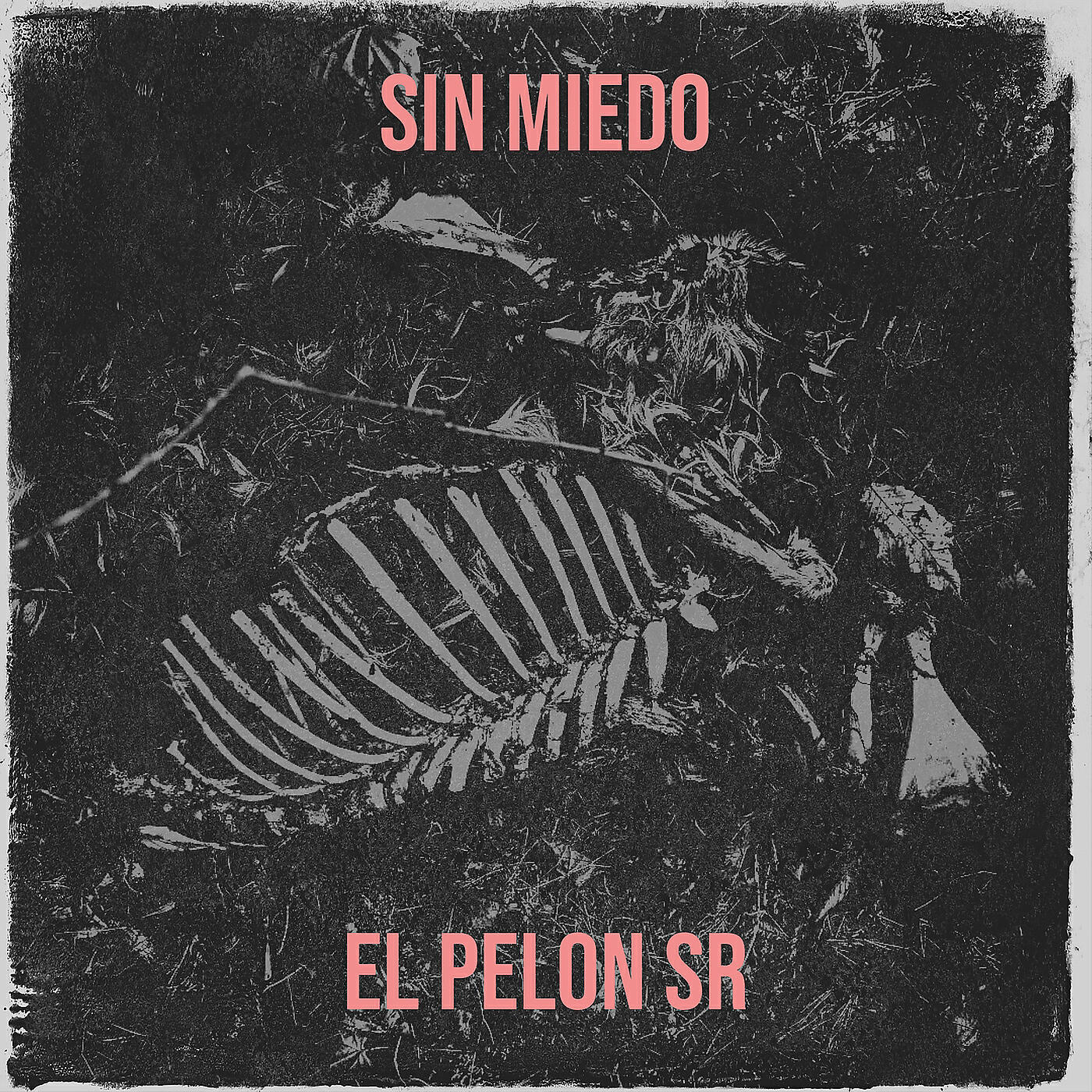 El Pelon SR