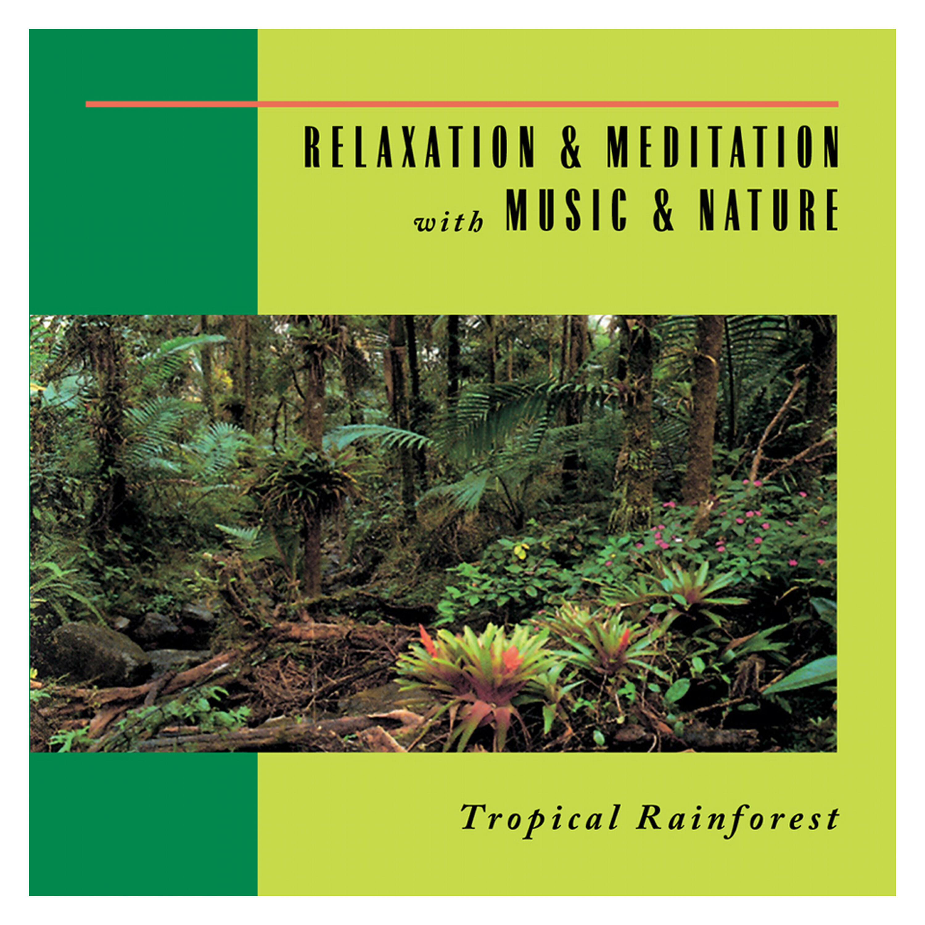 Релиз Tropical Rainforest