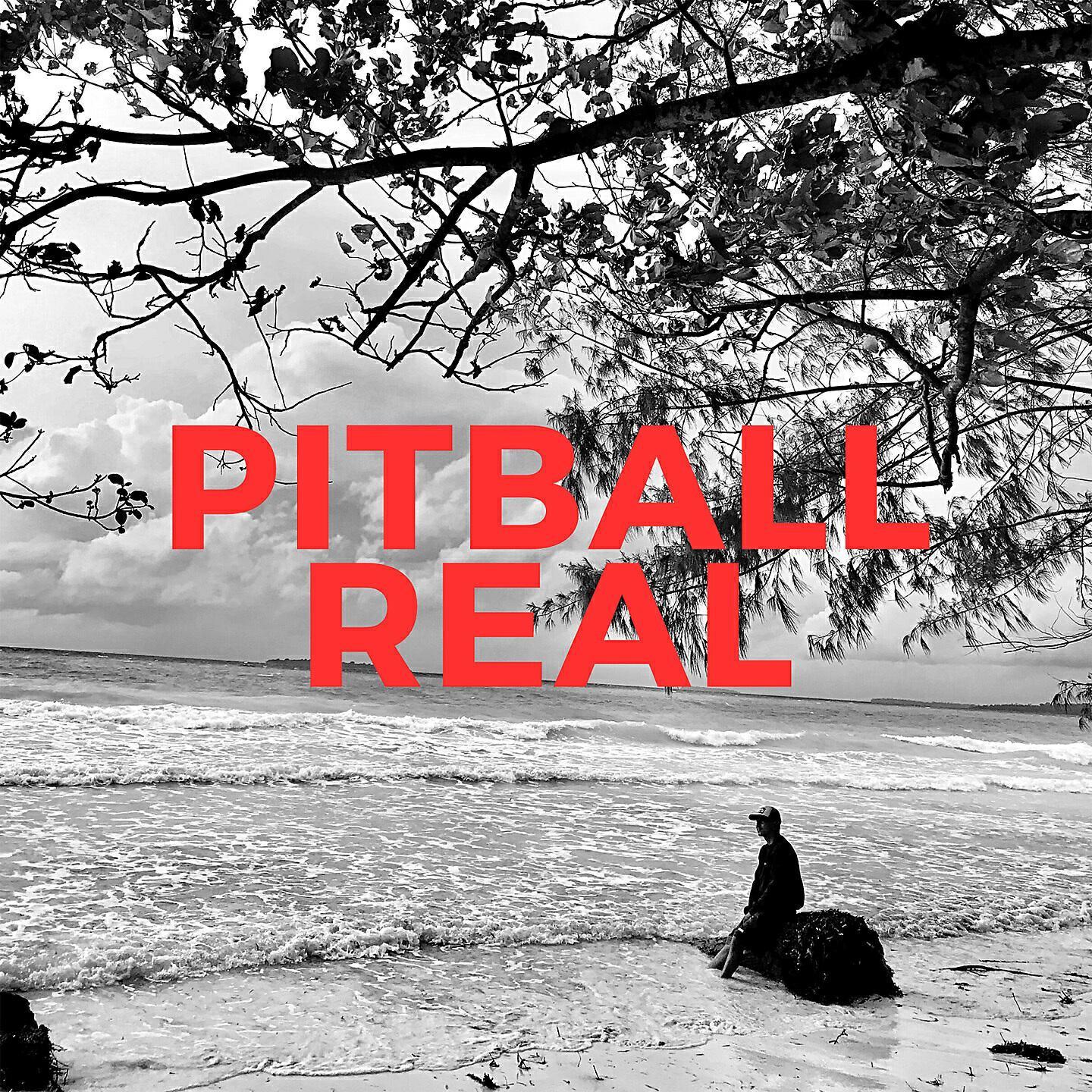 Pitball Real
