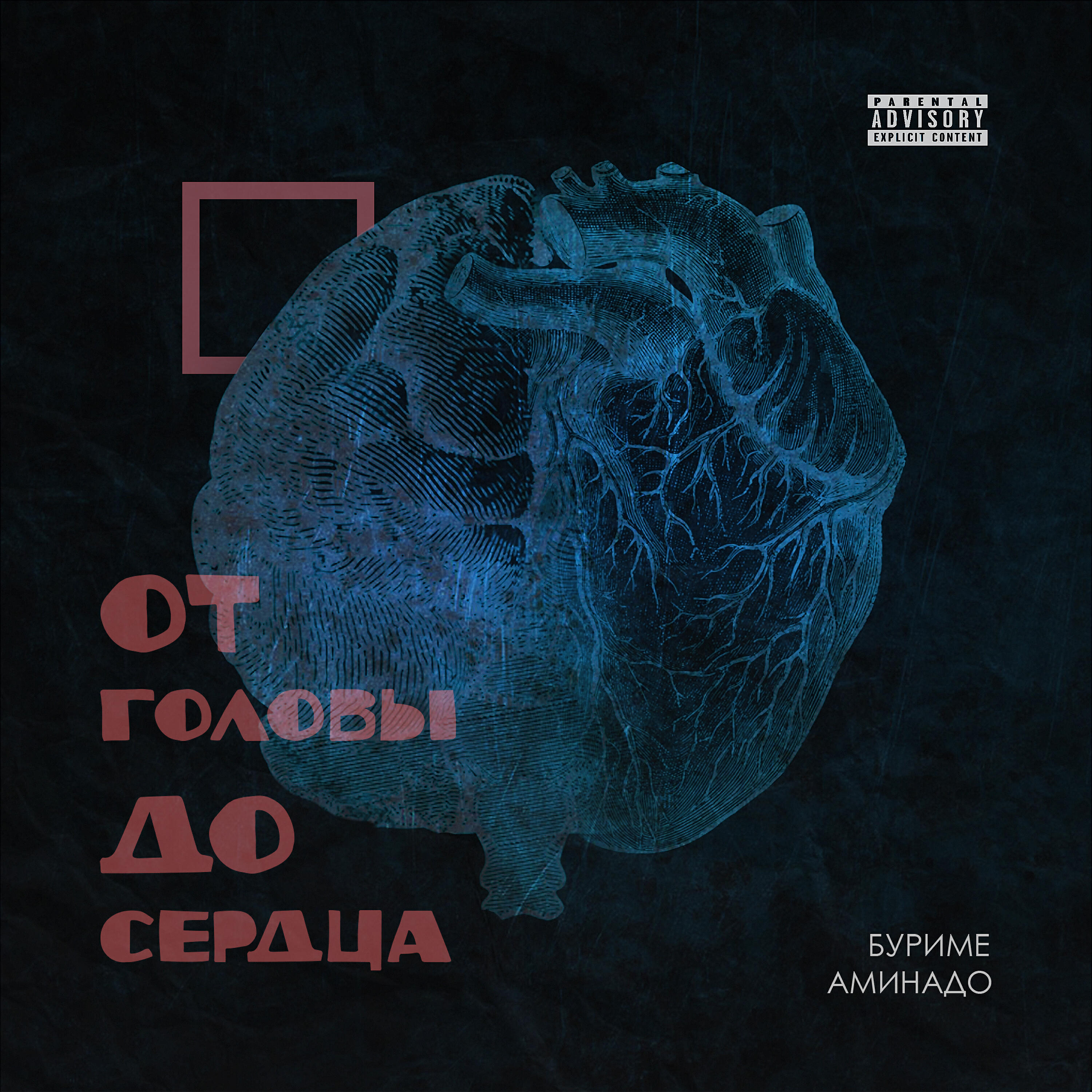 Релиз От головы до сердца