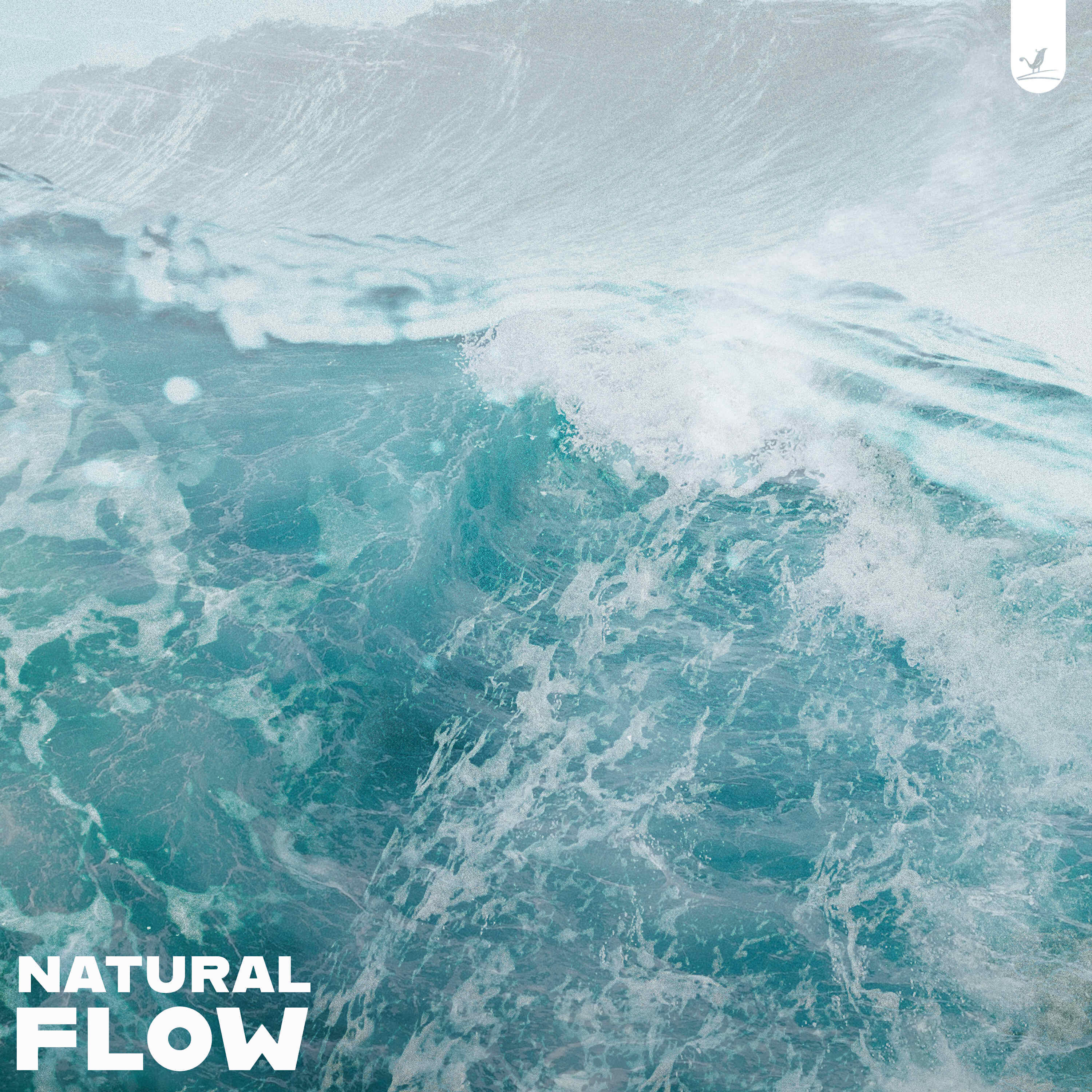 Релиз Natural Flow