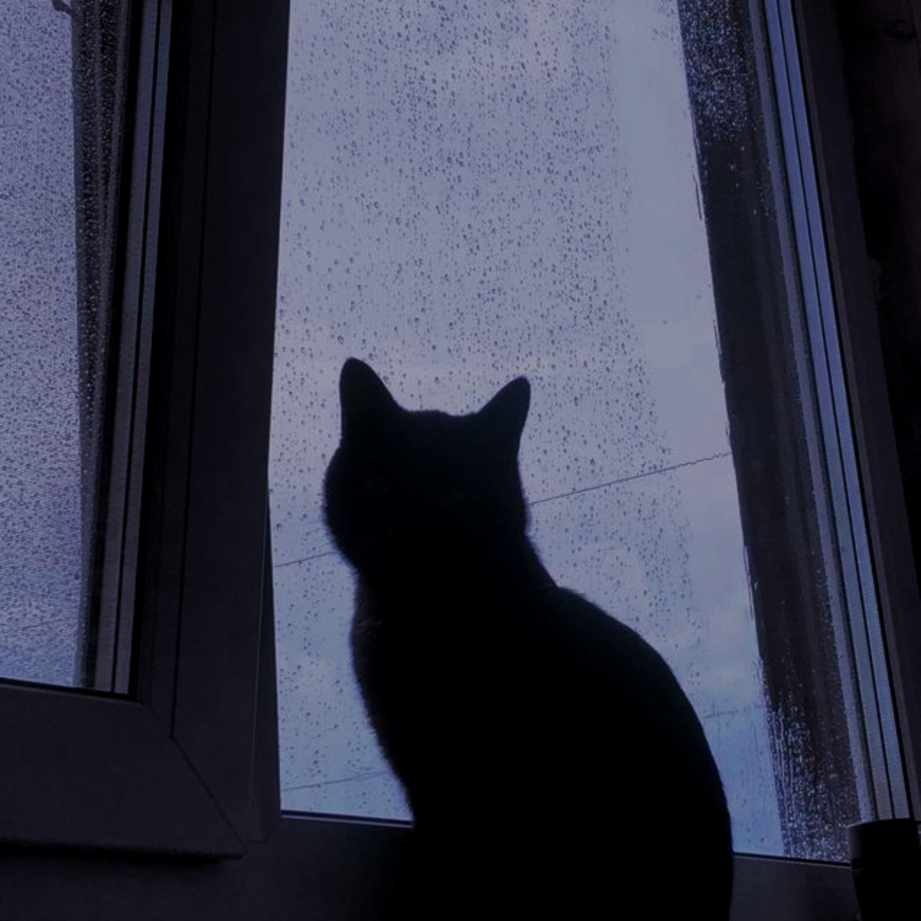 Релиз dark red x slowed reverb