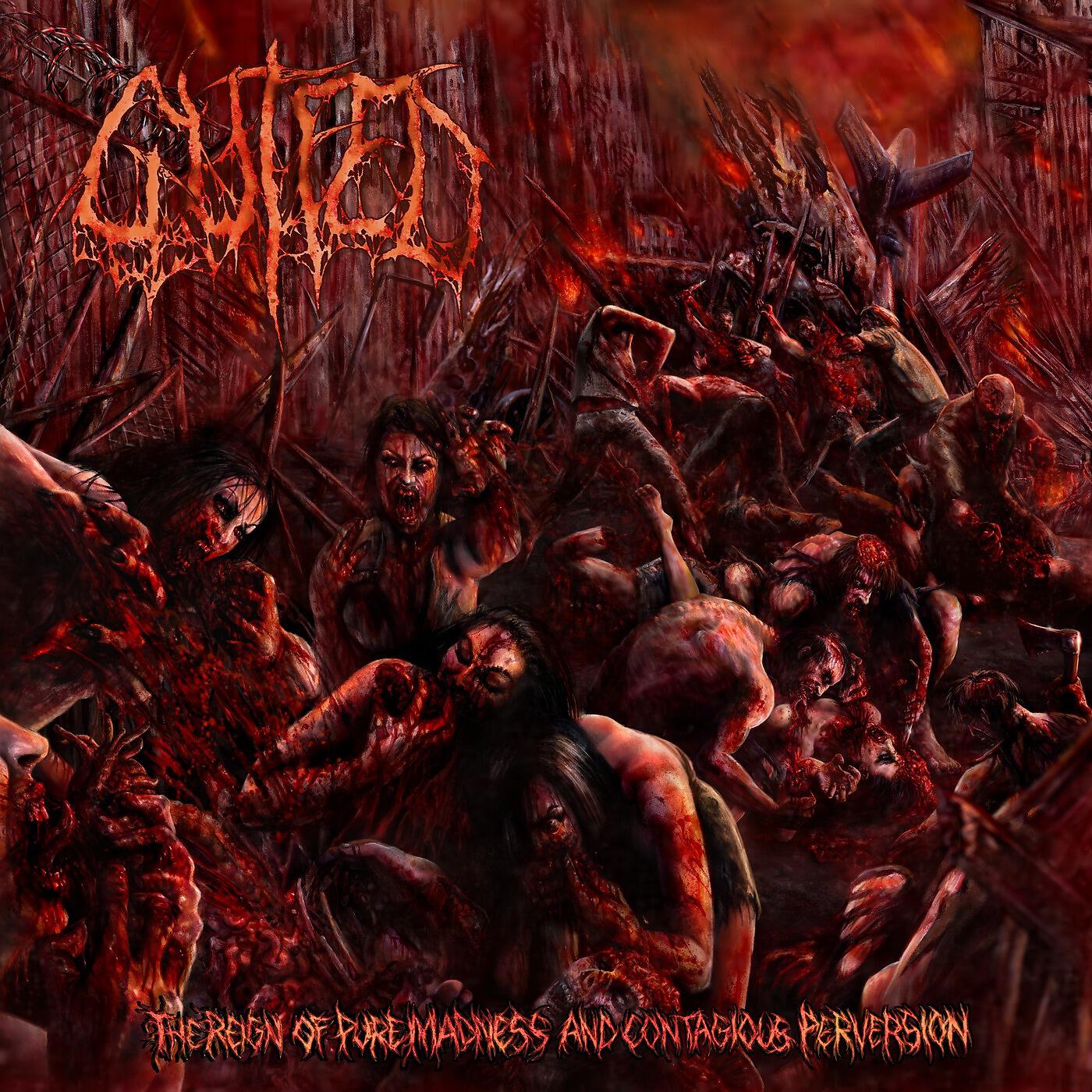 Релиз The Reign of Pure Madness and Contagious Perversion