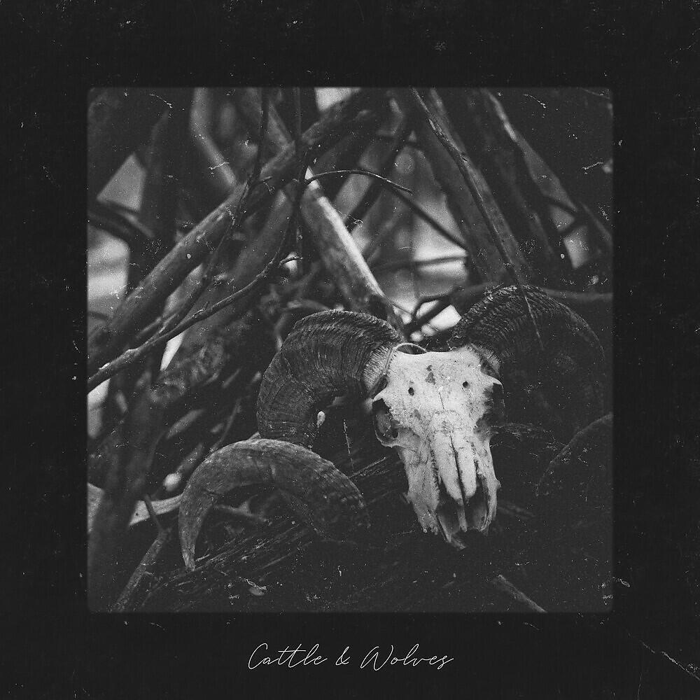 Постер альбома Cattle and Wolves