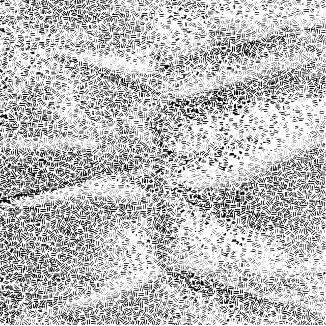Релиз Temporary Mutilation