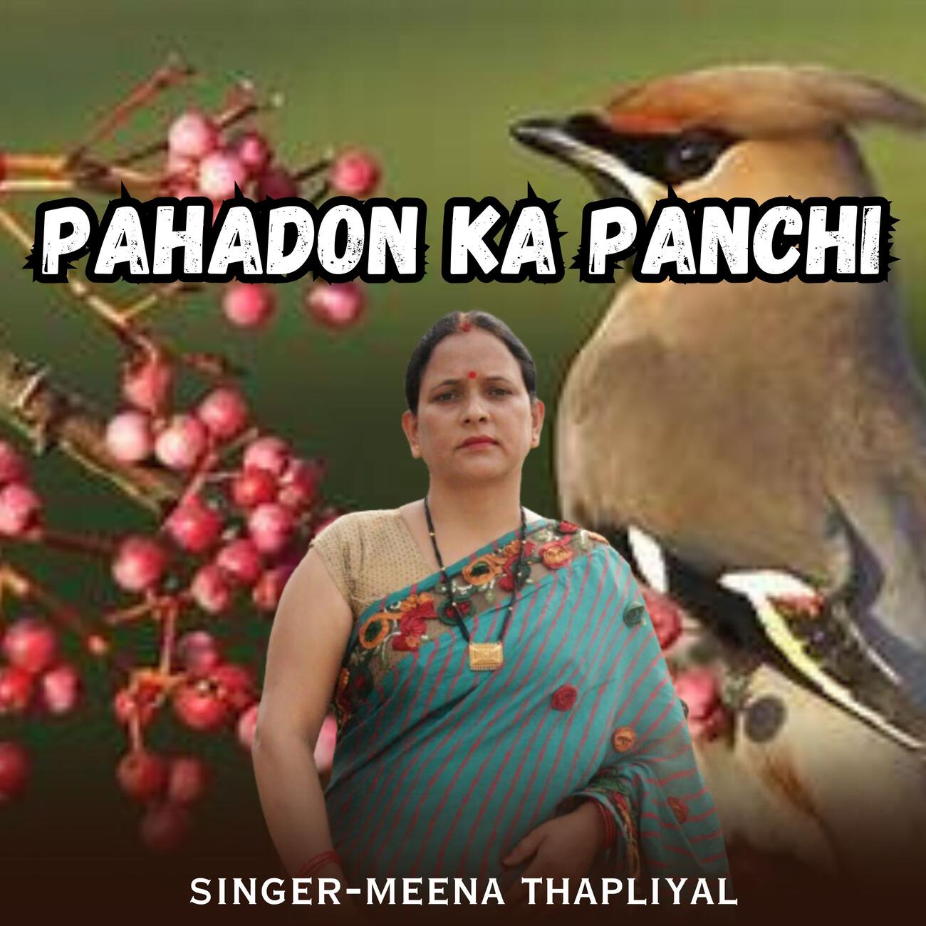 Релиз Pahadon Ka Panchi