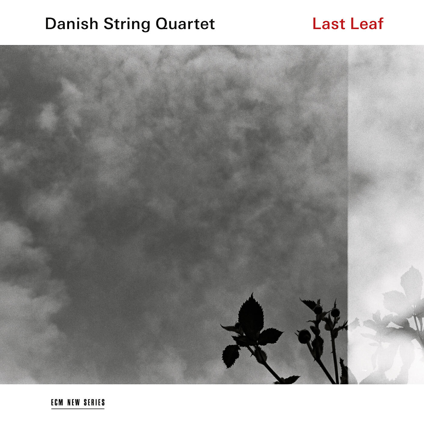 Релиз Last Leaf