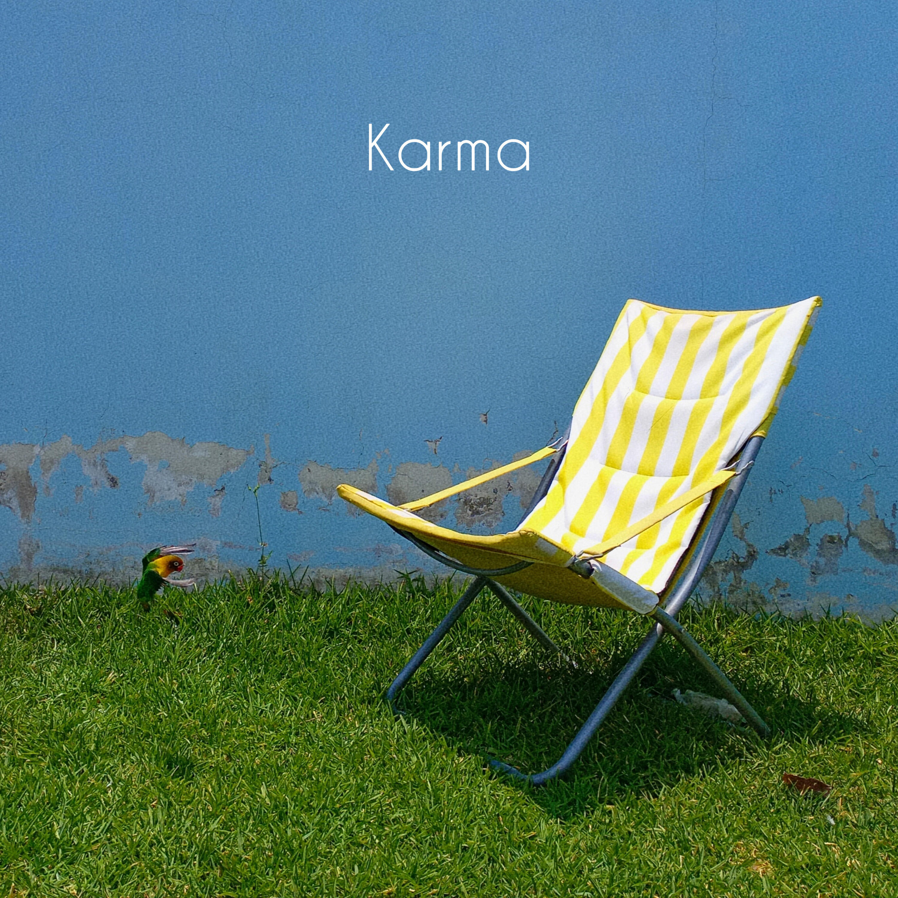 Релиз Karma