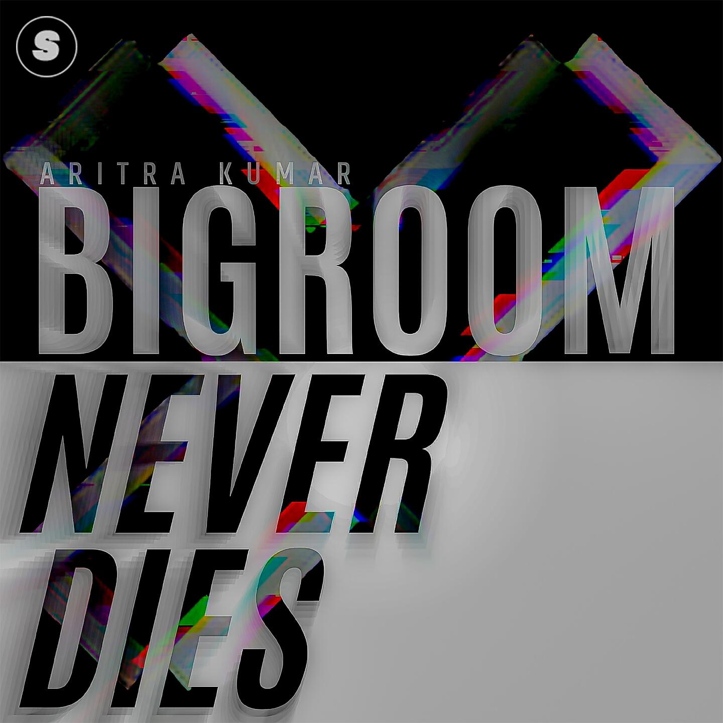 Релиз Bigroom Never Dies