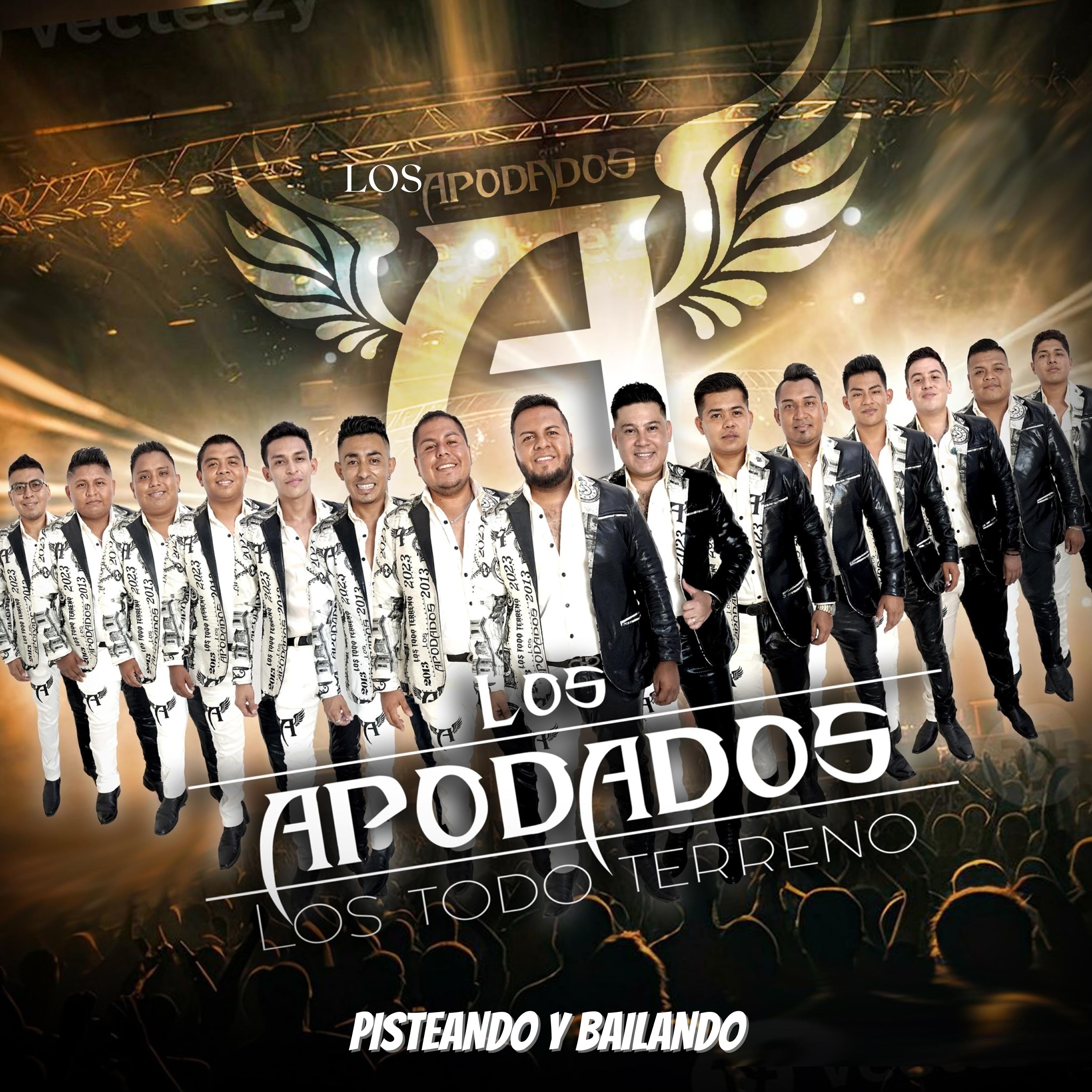 Релиз Pisteando y Bailando