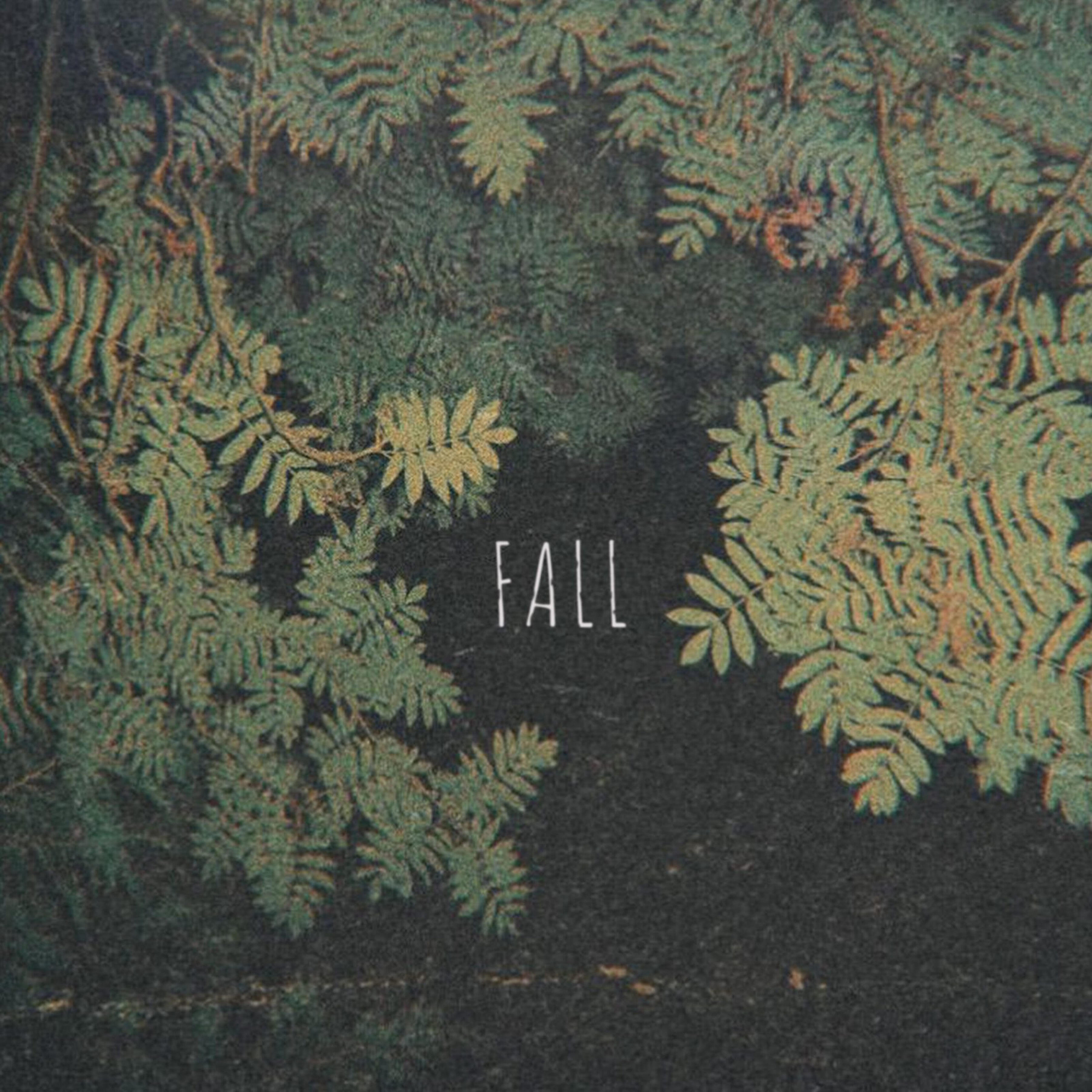 Релиз Fall