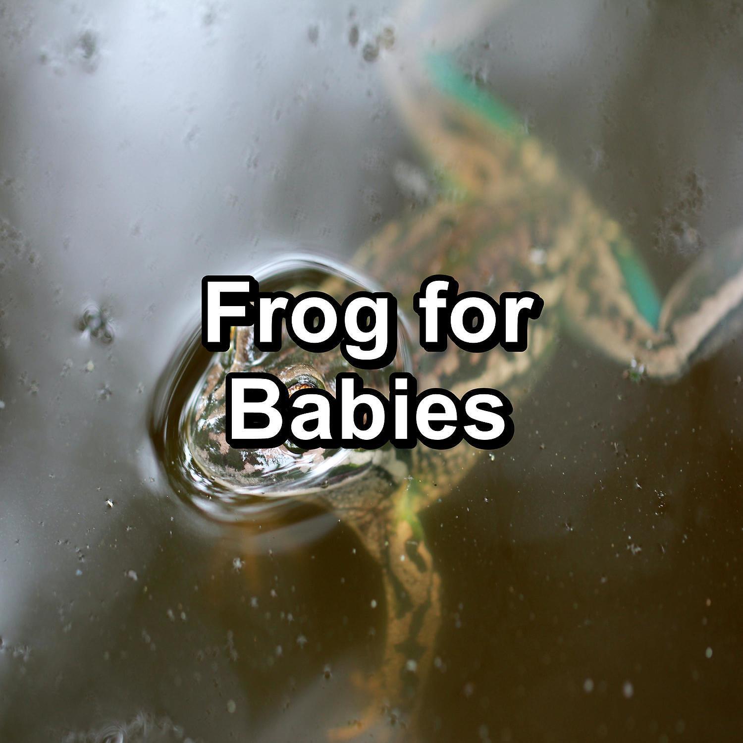 Релиз Frog for Babies