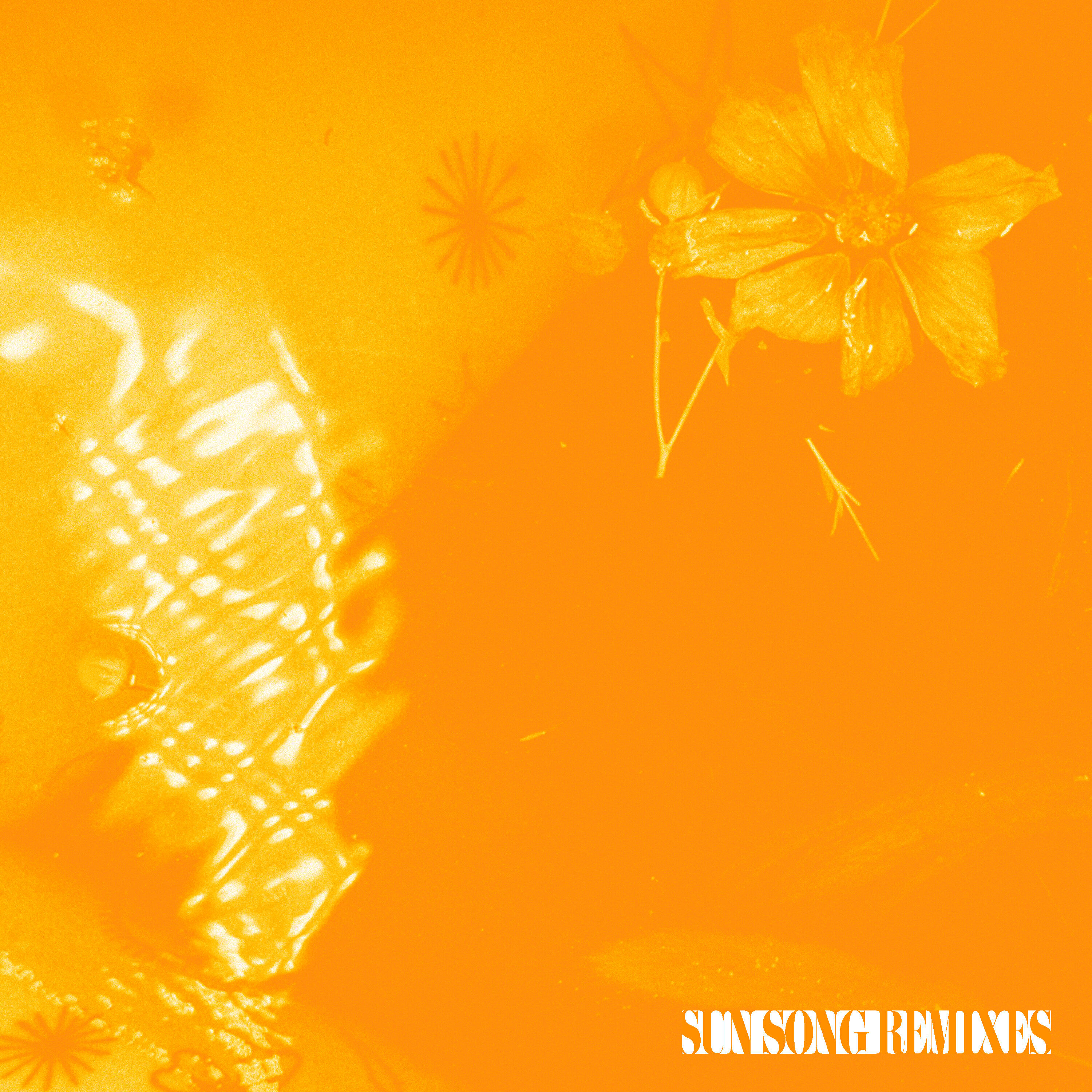 Релиз Sun Song Remixes