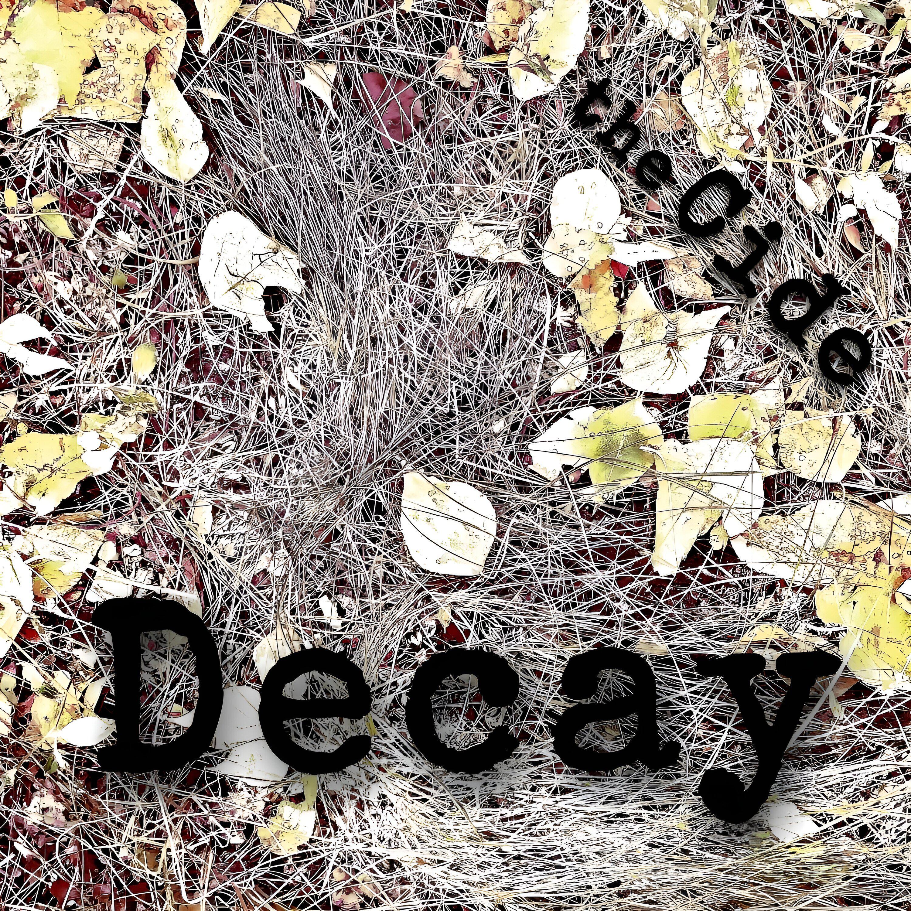 TheCide