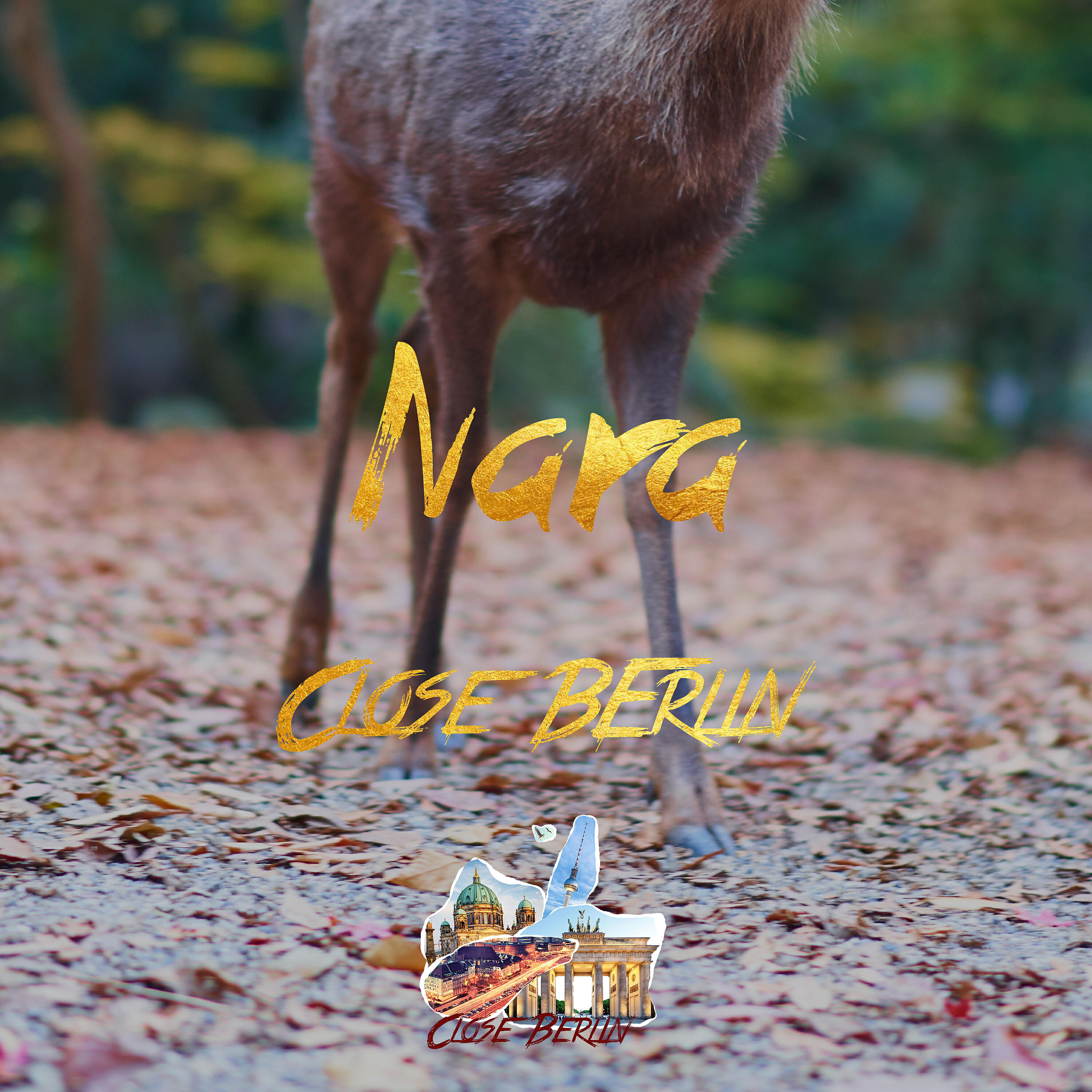 Релиз Nara