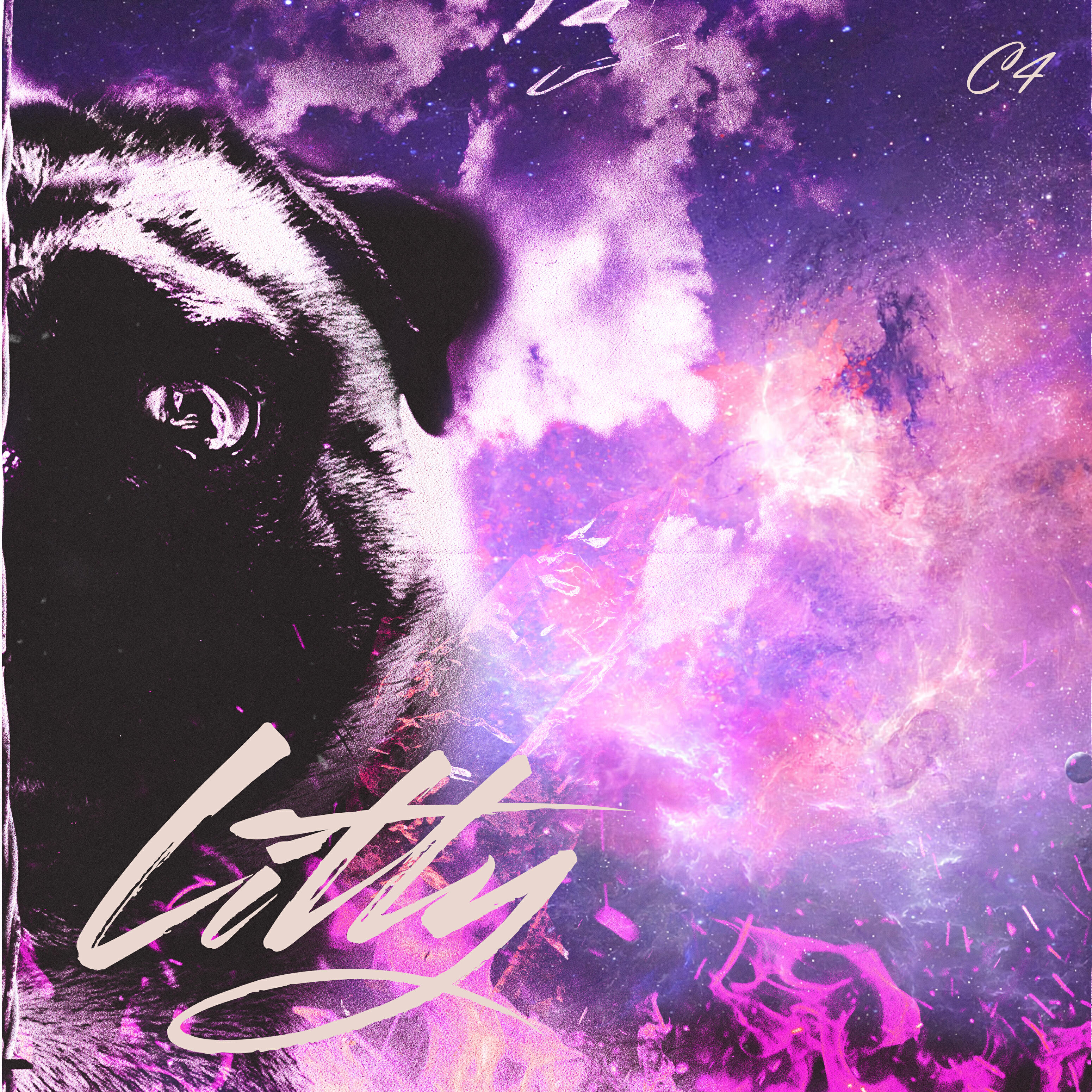Релиз LITTY