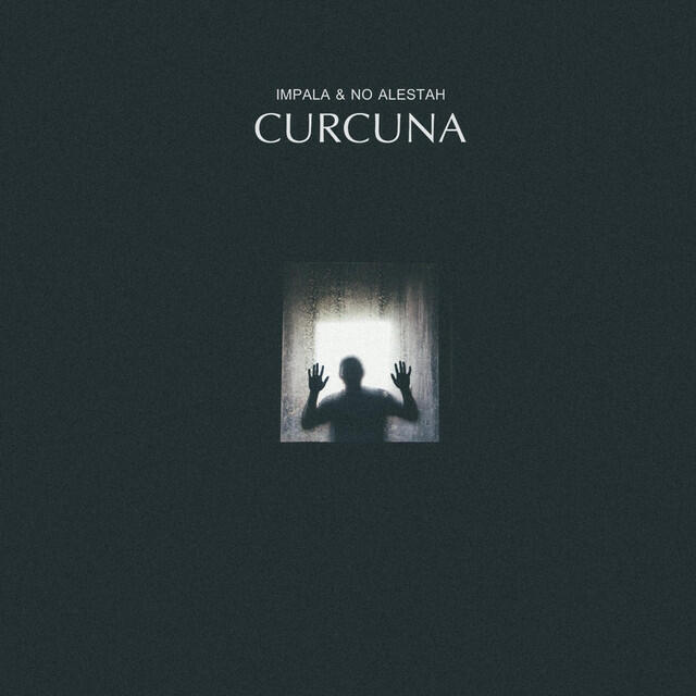 Релиз Curcuna