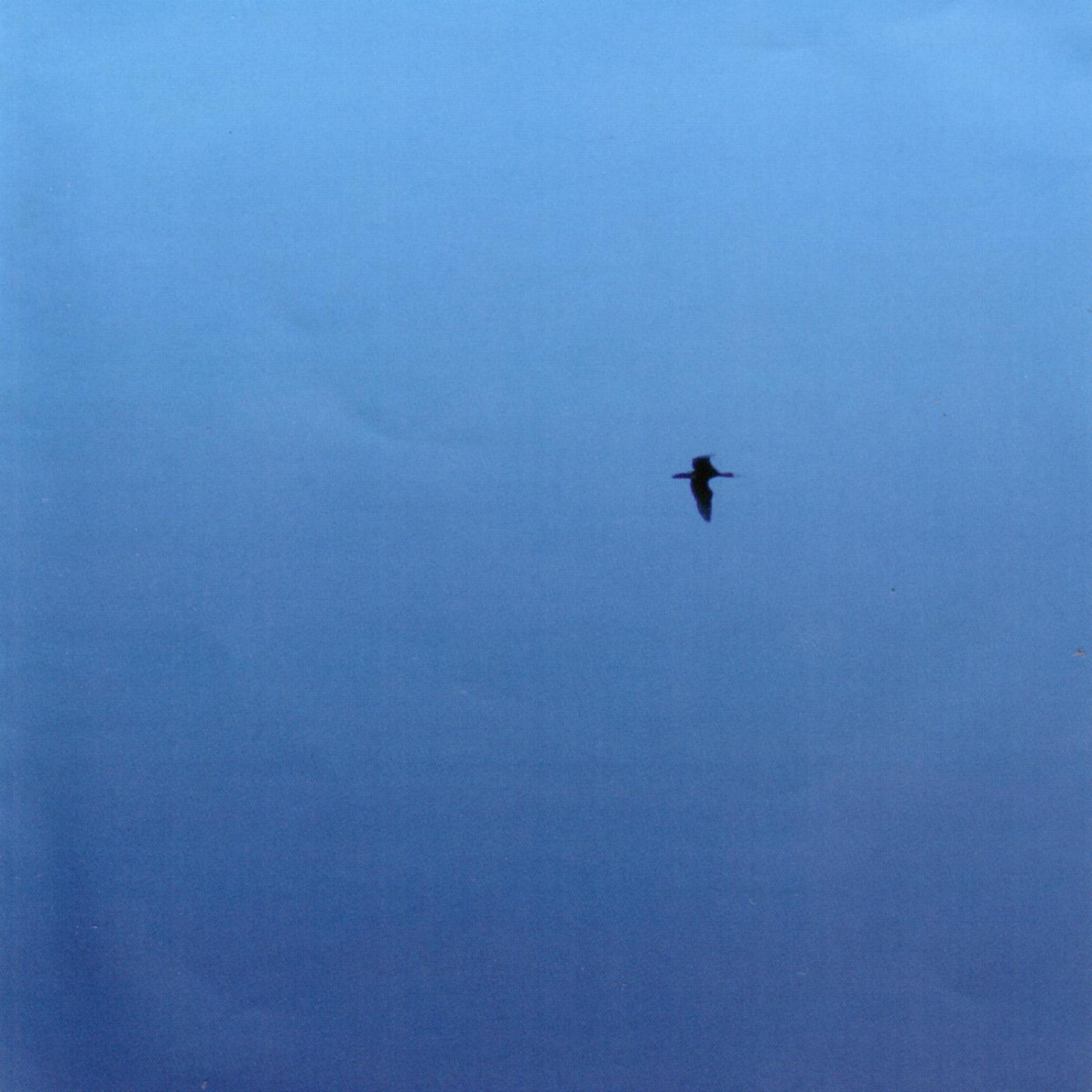 Релиз The Isle of Wight EP