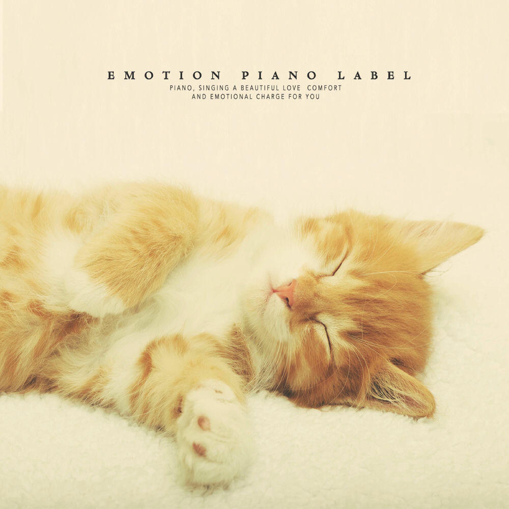 Релиз A beautiful piano with a sweet sleep