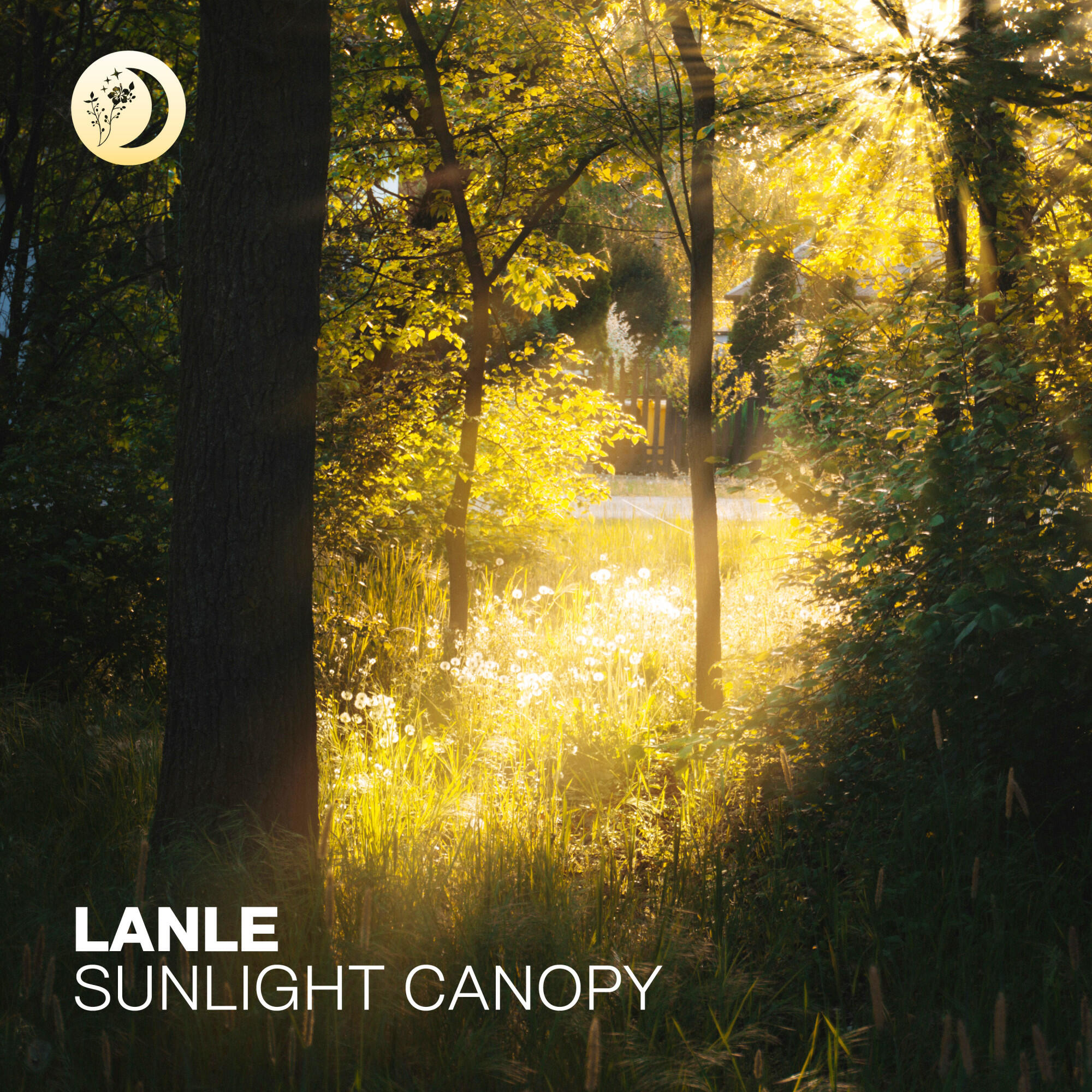 Релиз Sunlight Canopy