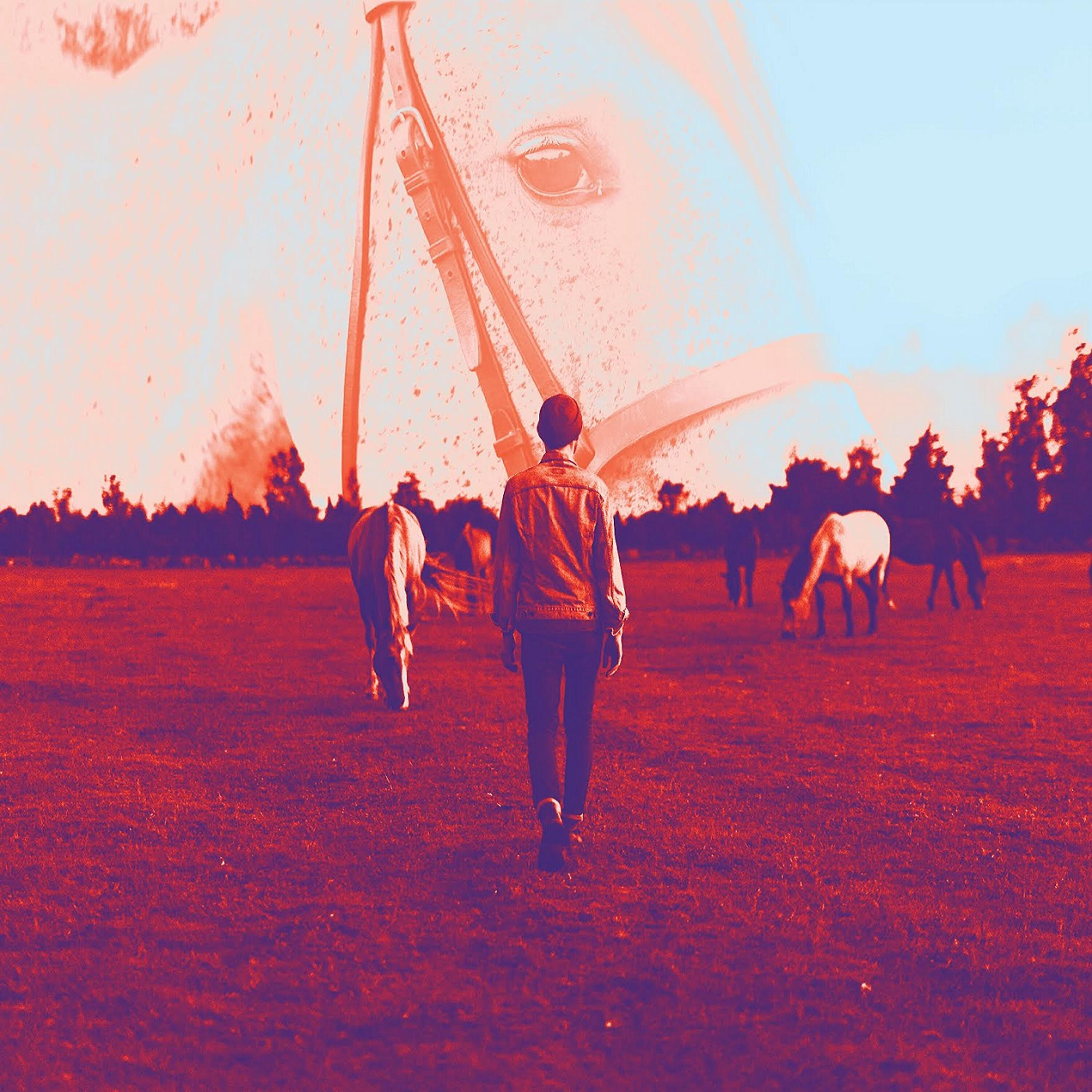 Релиз Efterglow