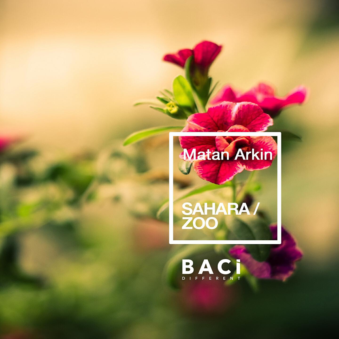 Релиз Sahara / Zoo